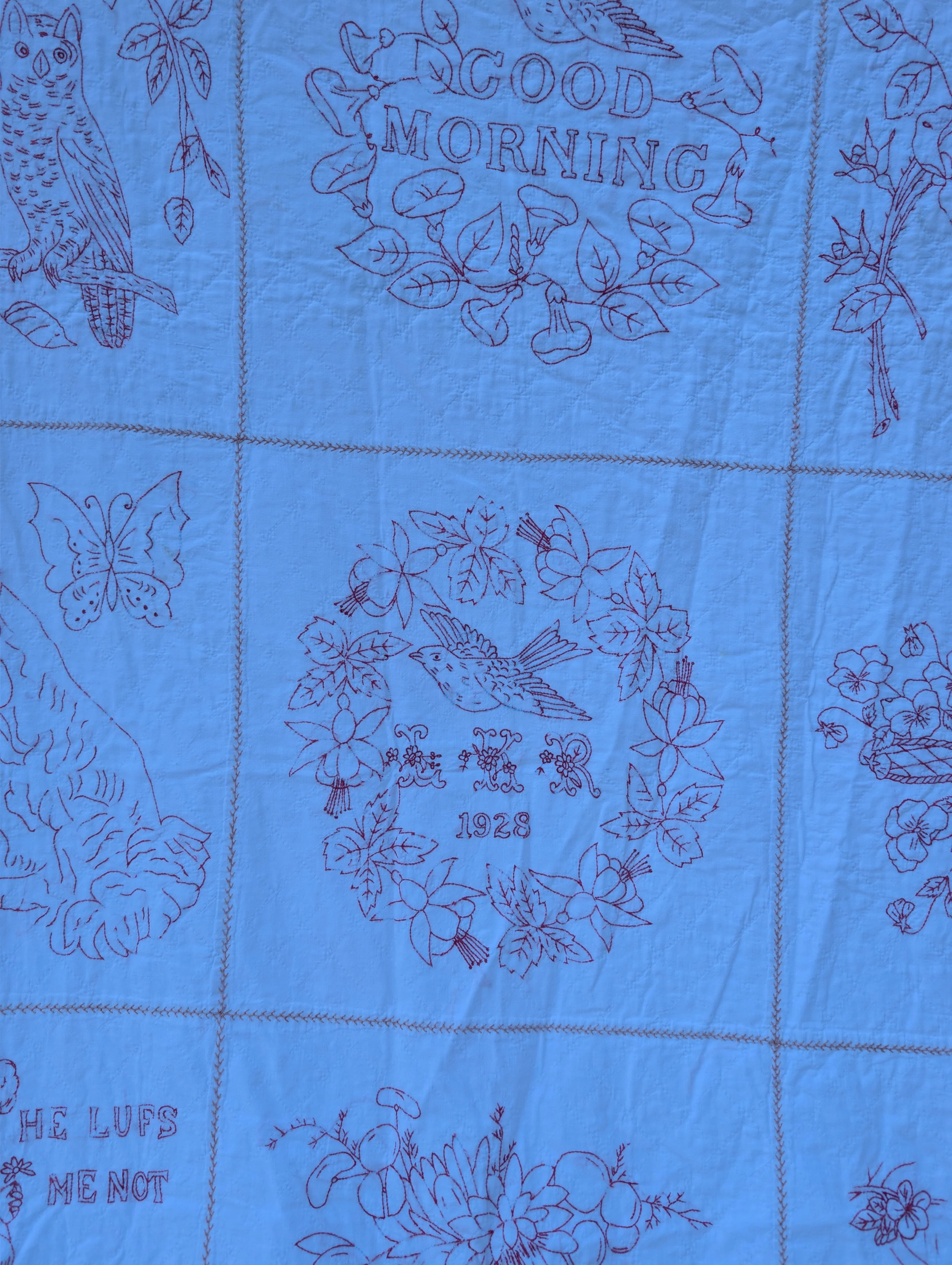 PXL_20261018_192321887.jpg