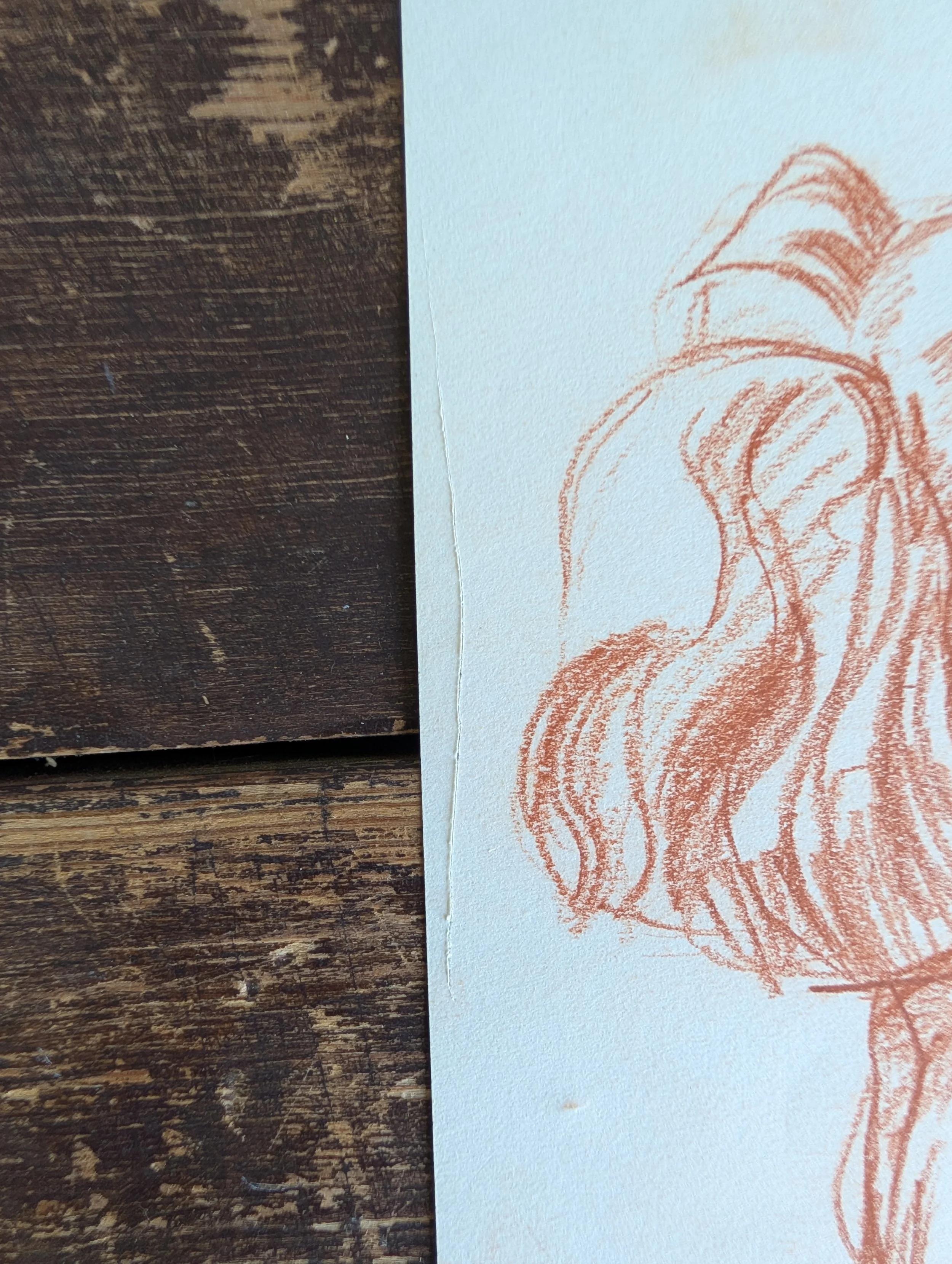 PXL_20260512_214243511.jpg
