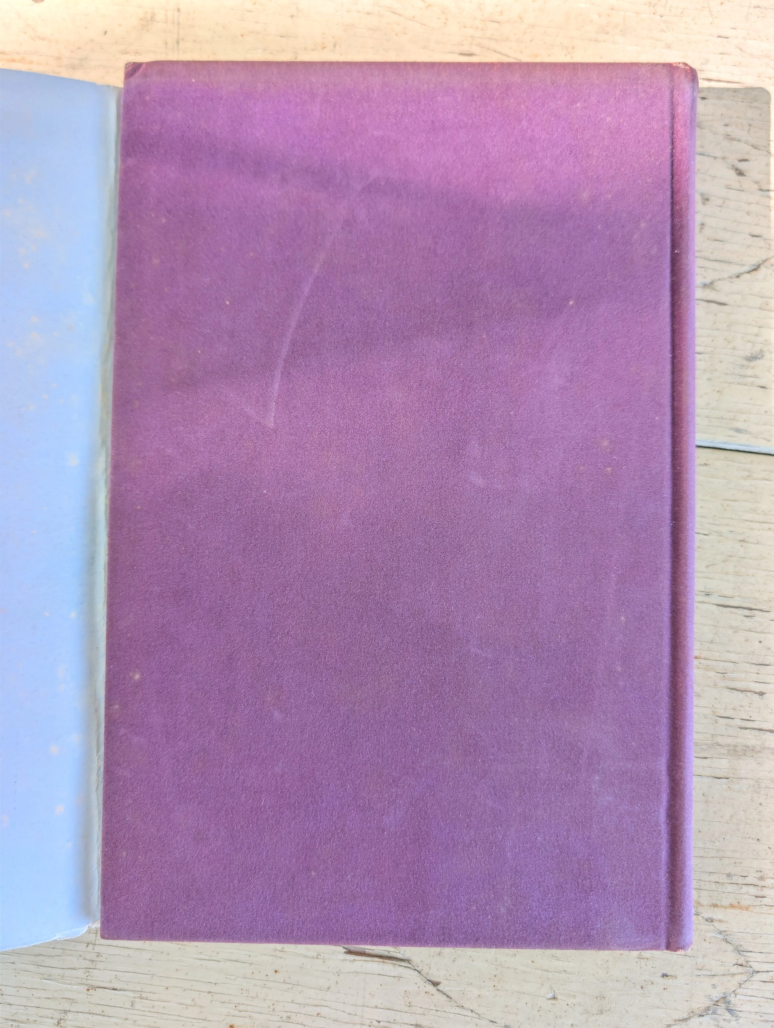 PXL_20261027_150830507.jpg