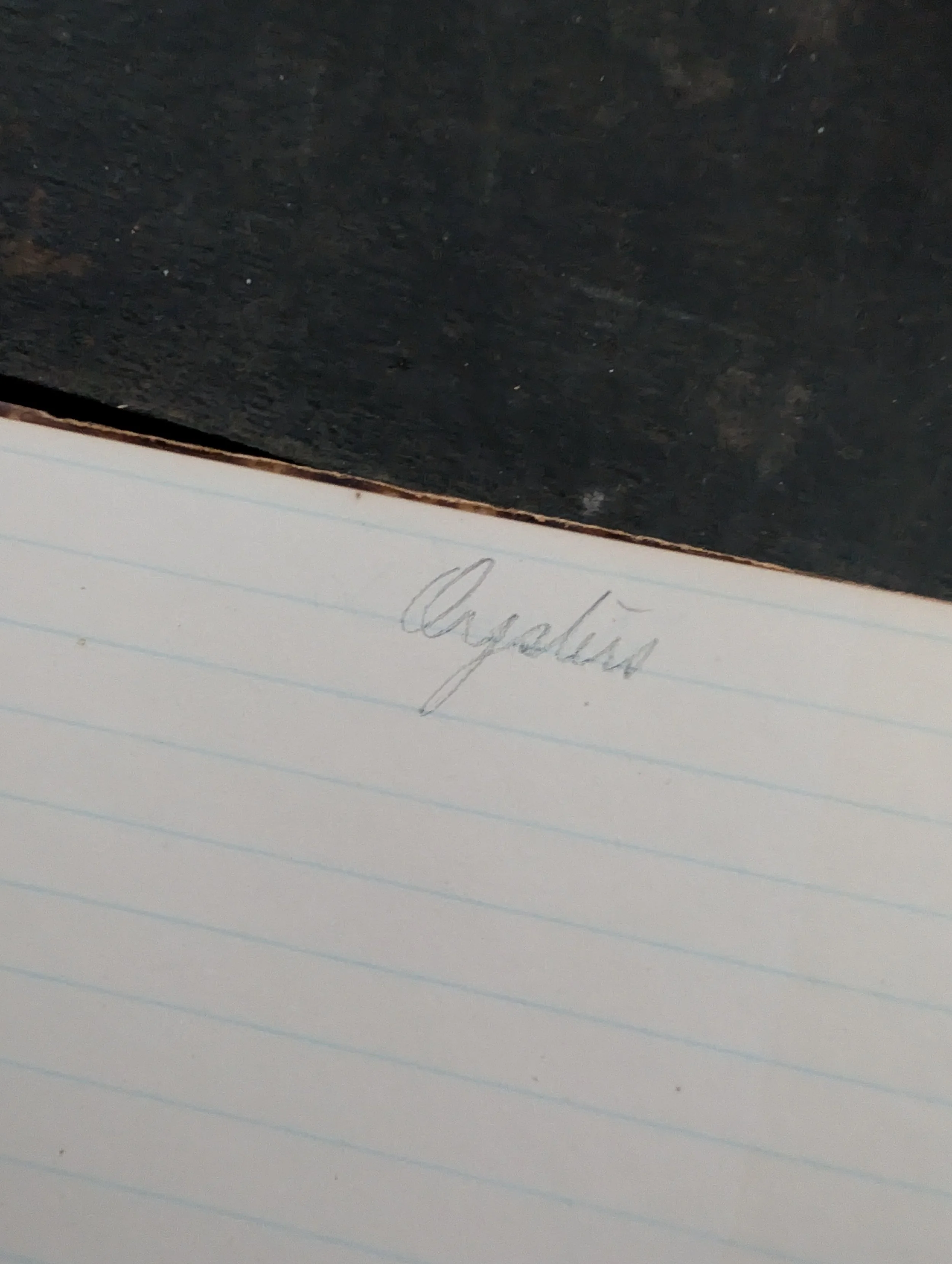 Antique (1870s) Bookbinding Marbled Boards With Quarter Leather Binding Lined Notebook - Written In.