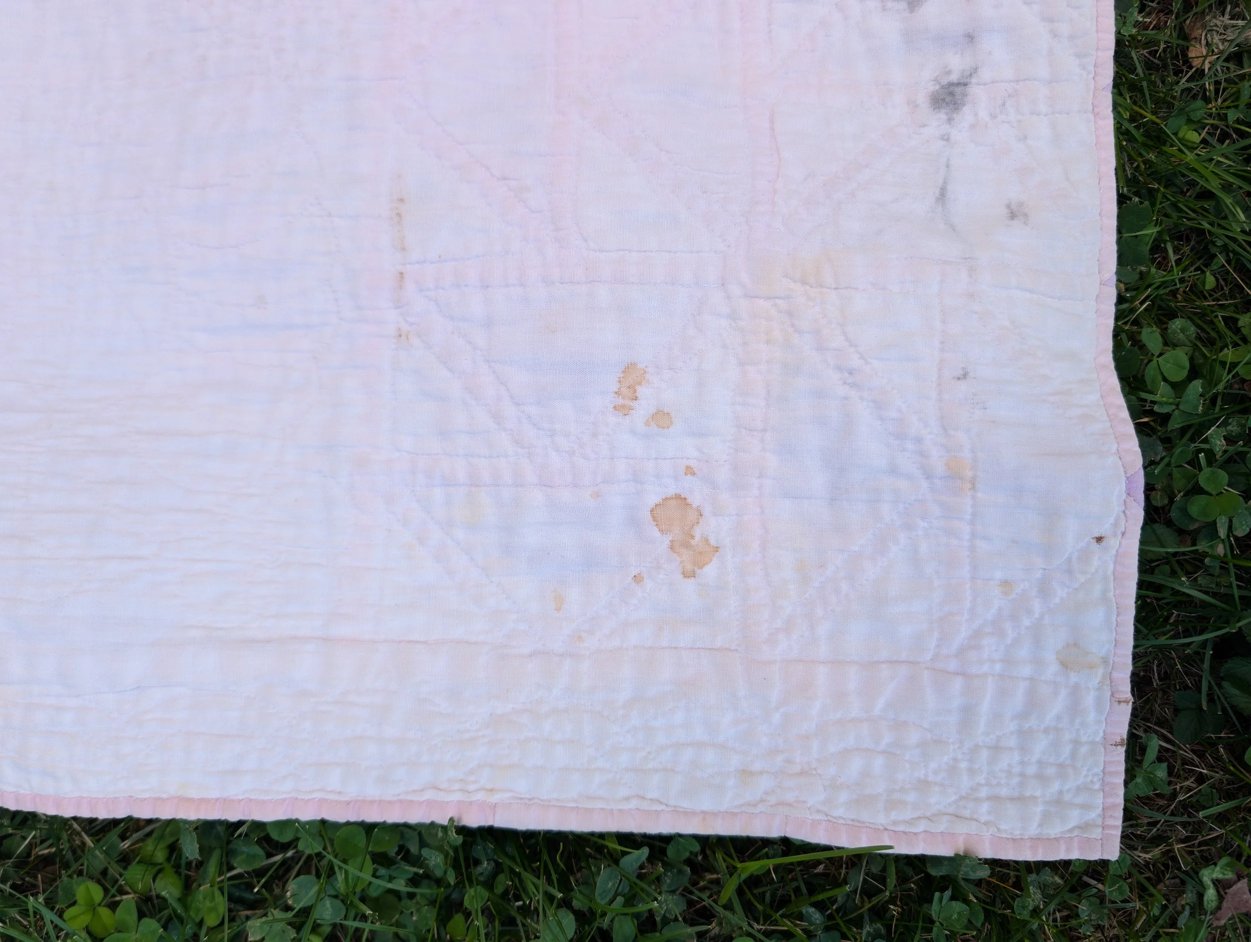 PXL_20260825_214106370.jpg