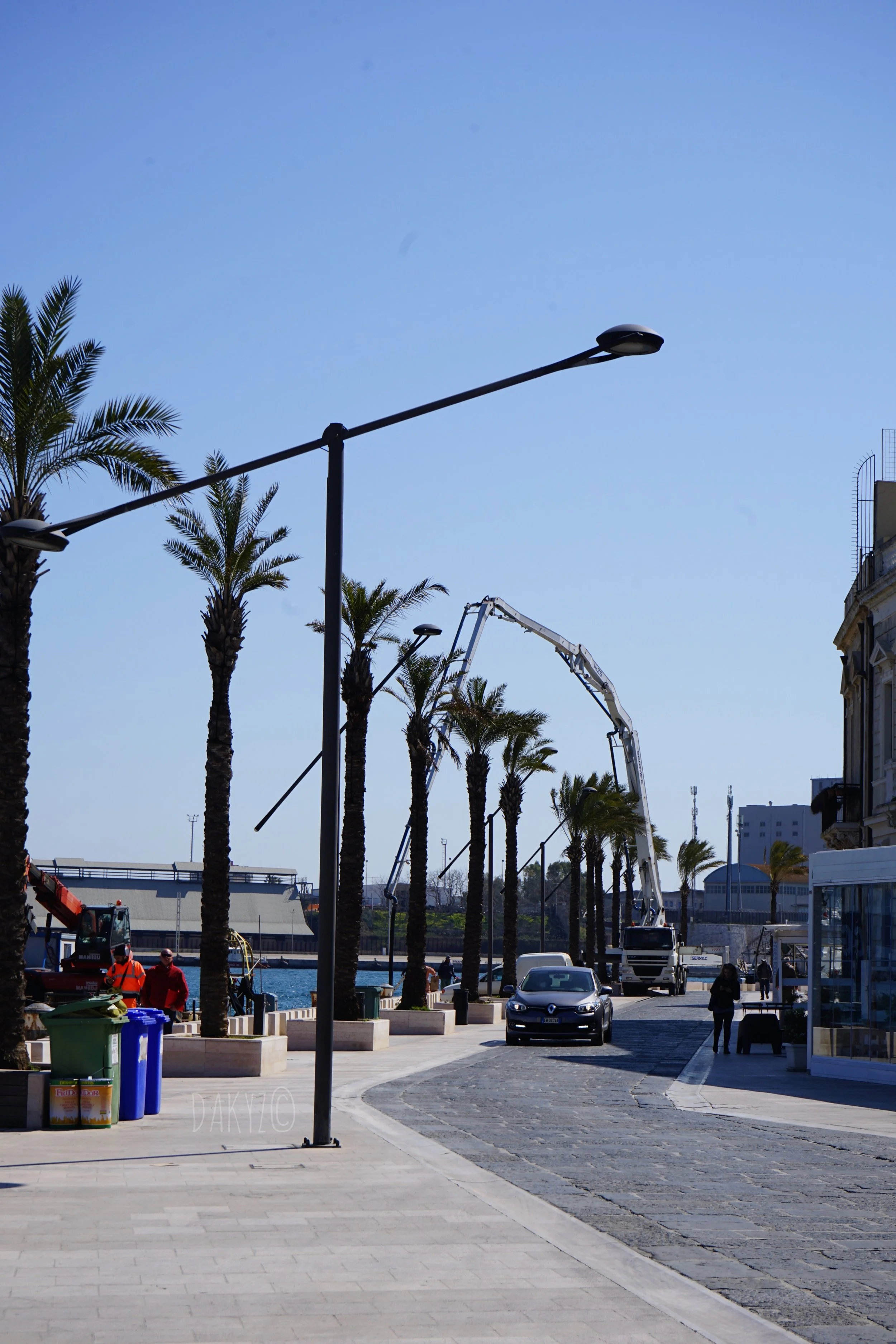 DSC03980-2.jpg