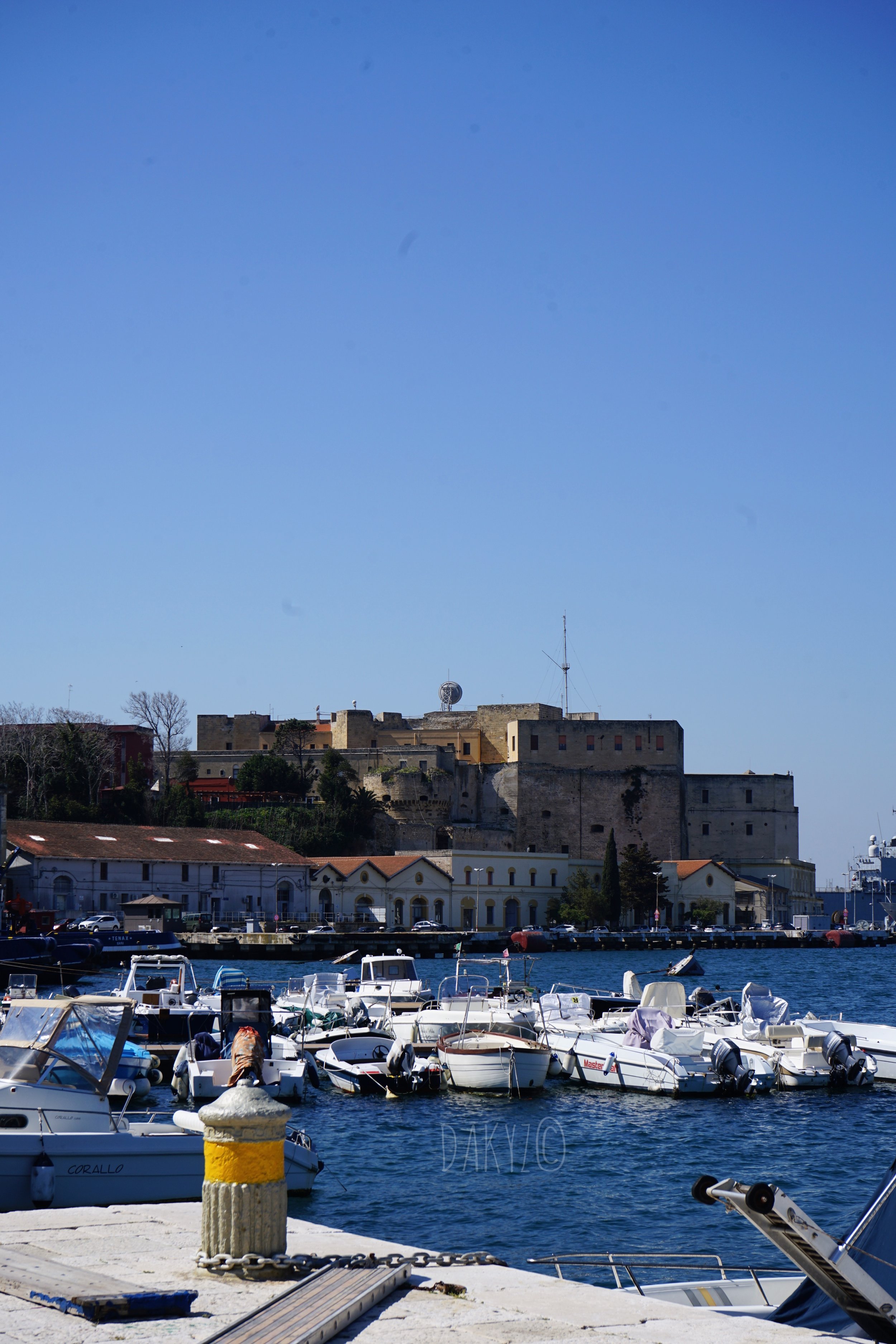 DSC04000-2.jpg