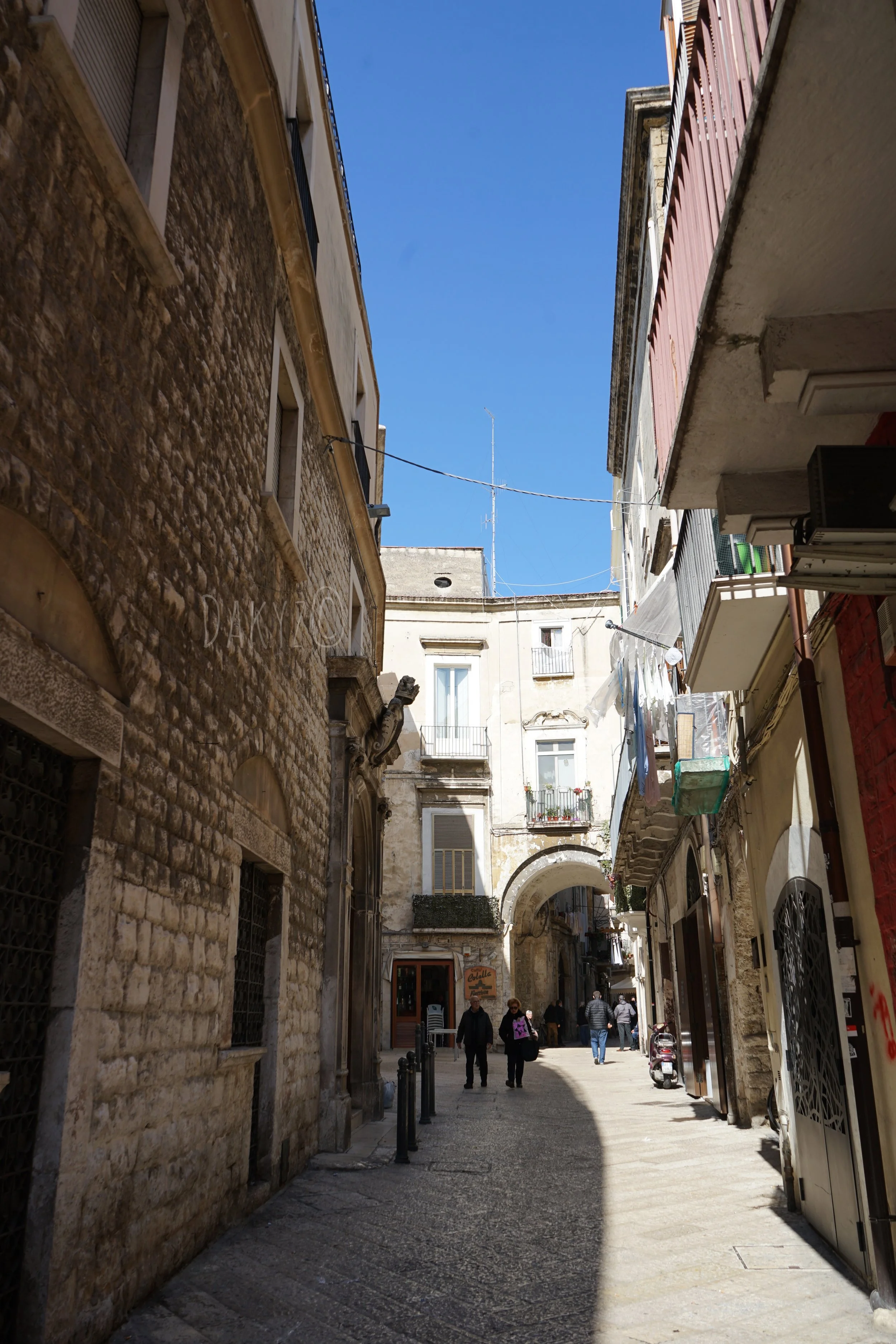 DSC03419-2.jpg