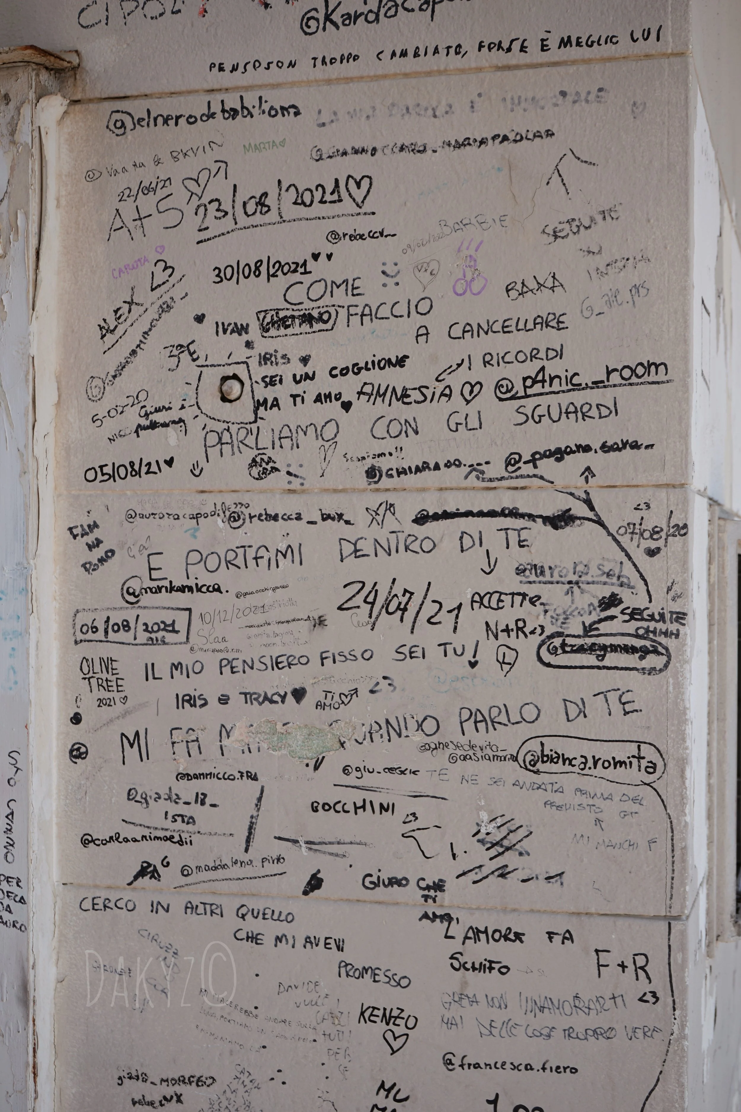 DSC03491-2.jpg