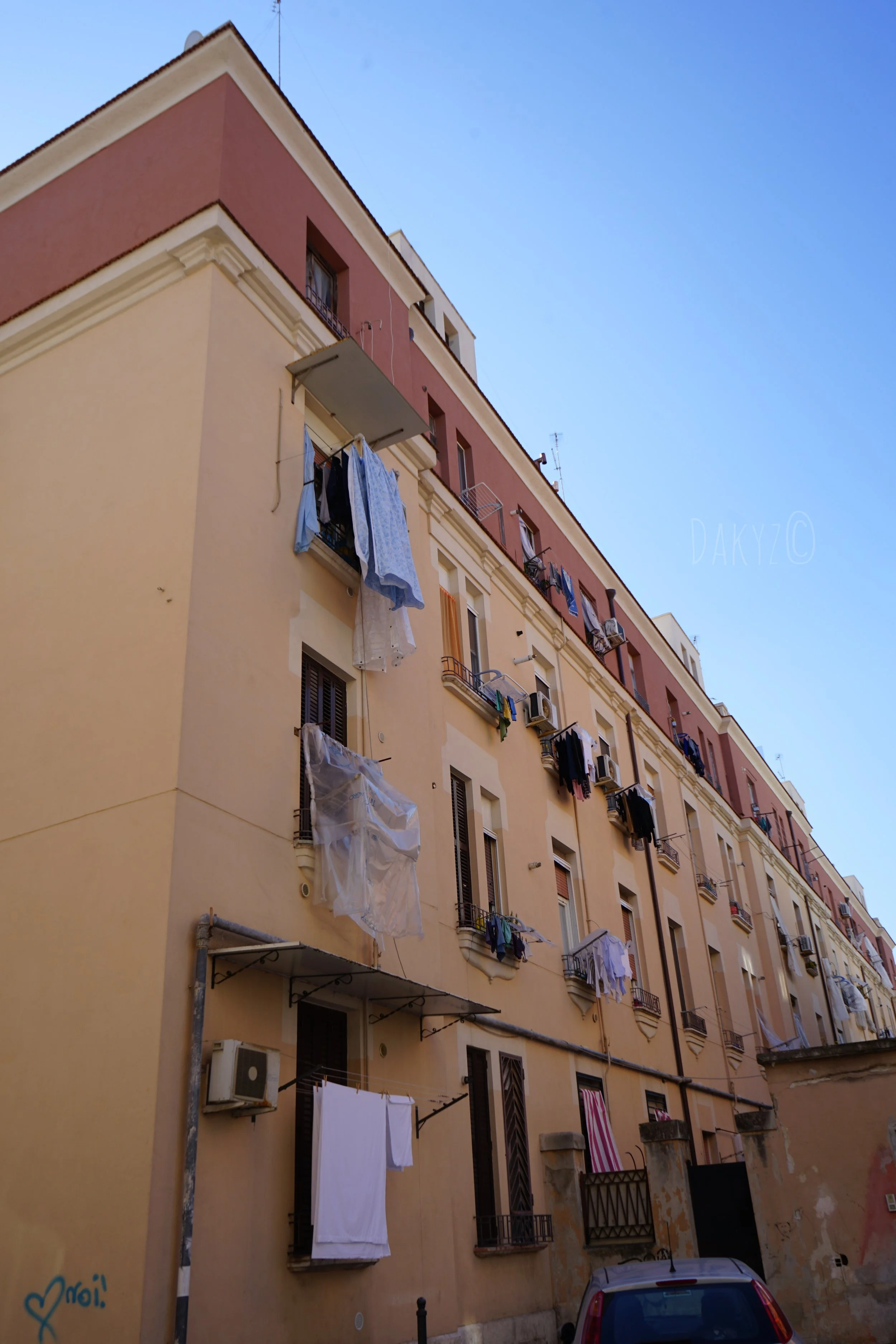 DSC03599-2.jpg