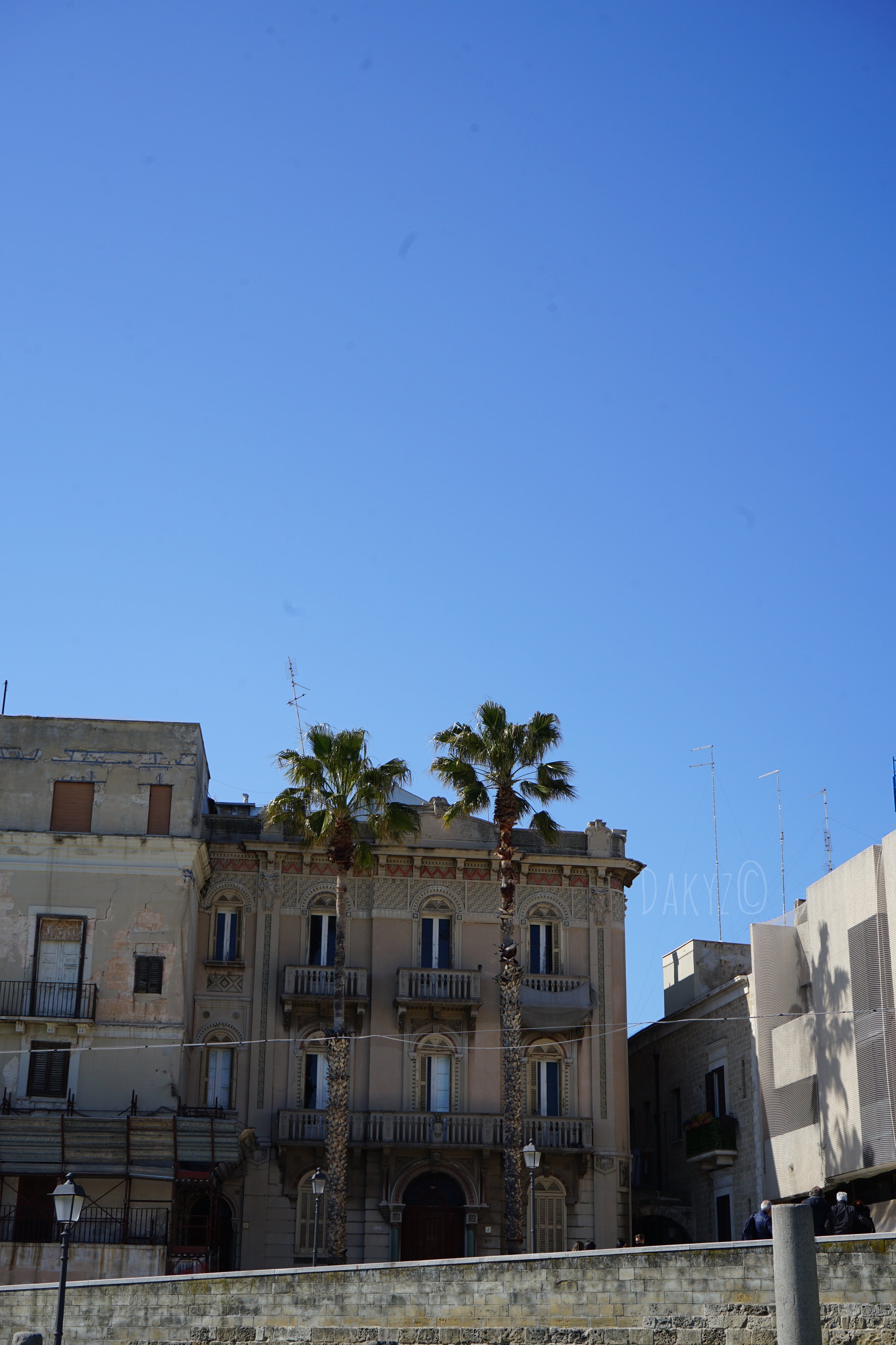 DSC03575.jpg
