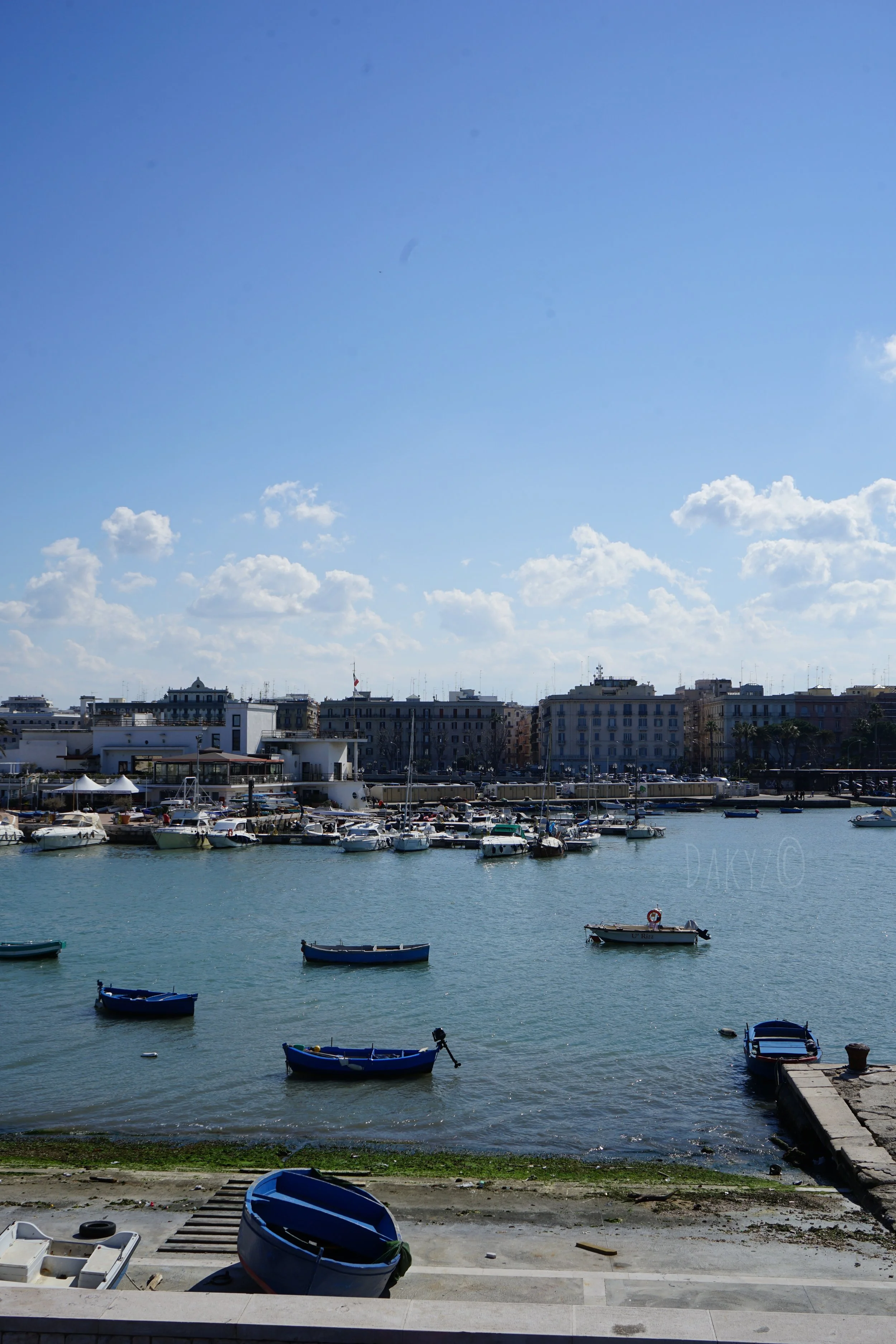 DSC03496.jpg