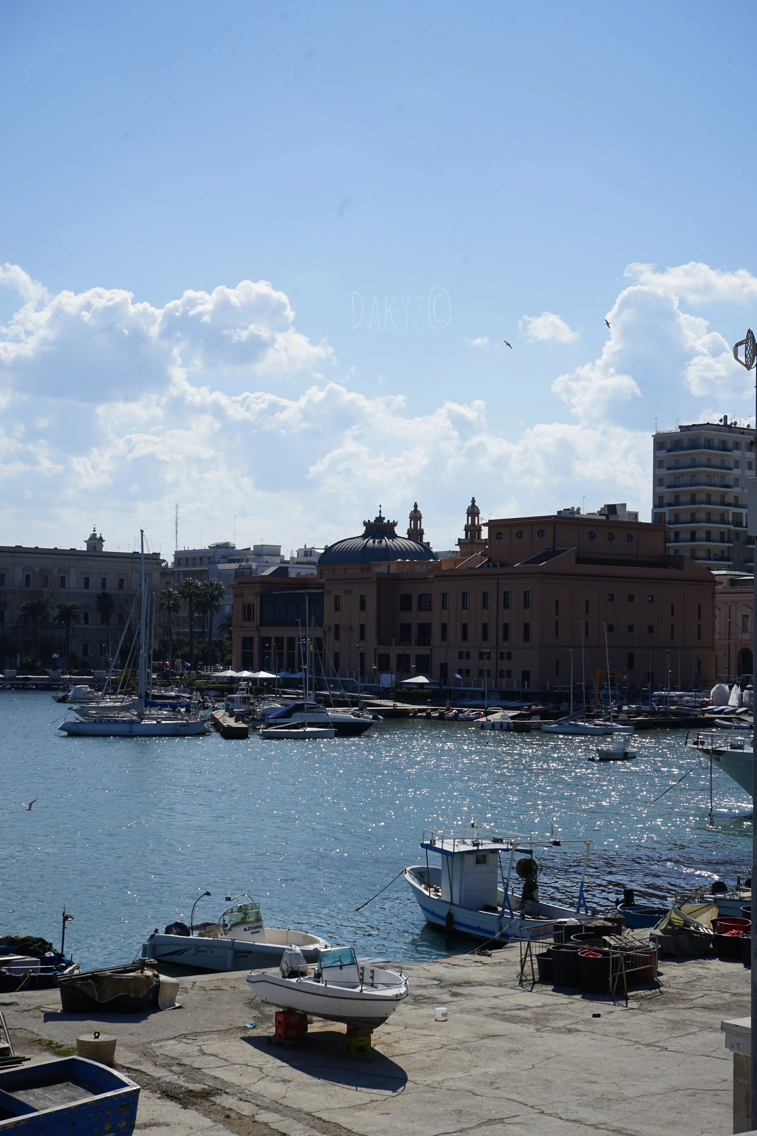 DSC03493.jpg