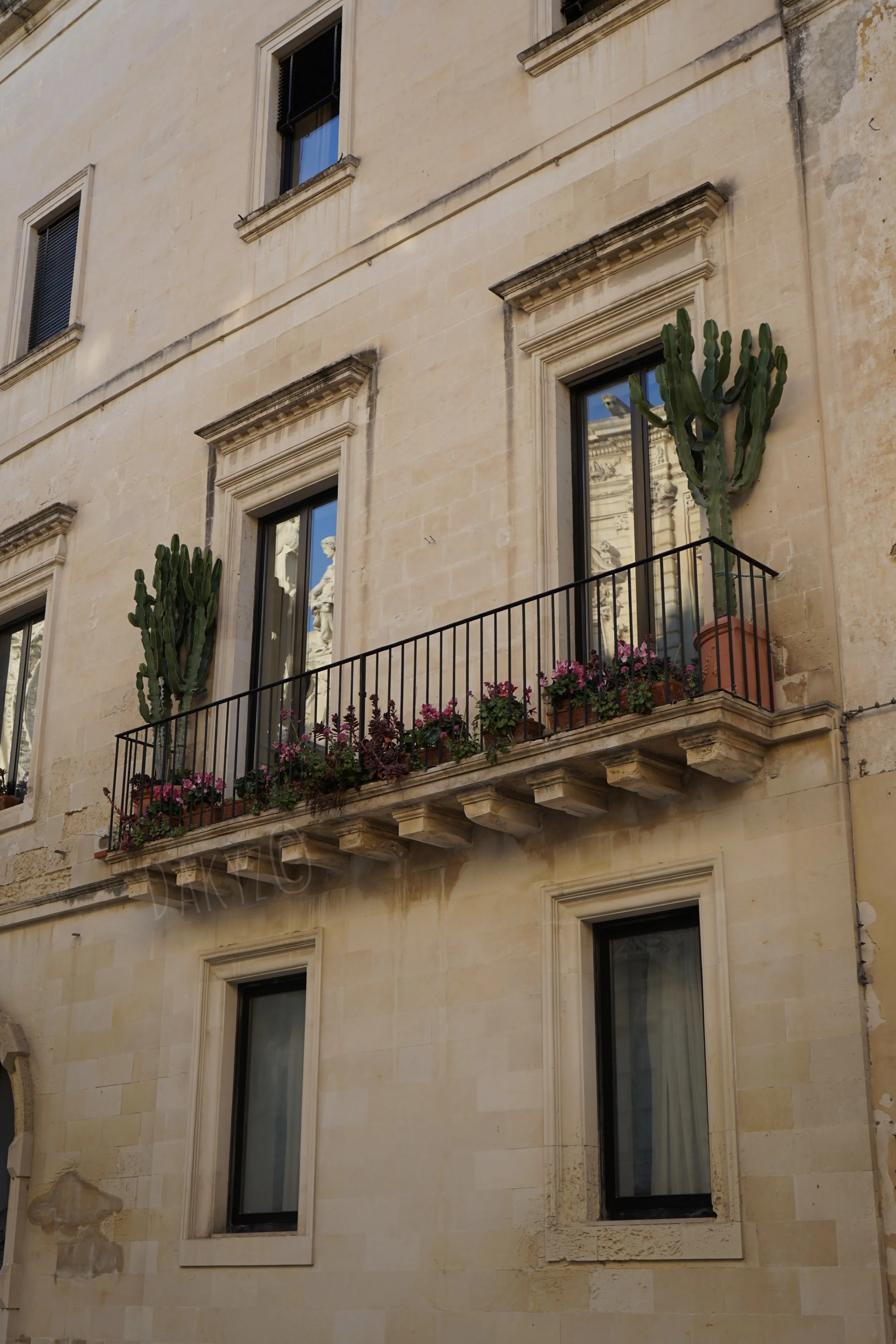 DSC03913-2.jpg