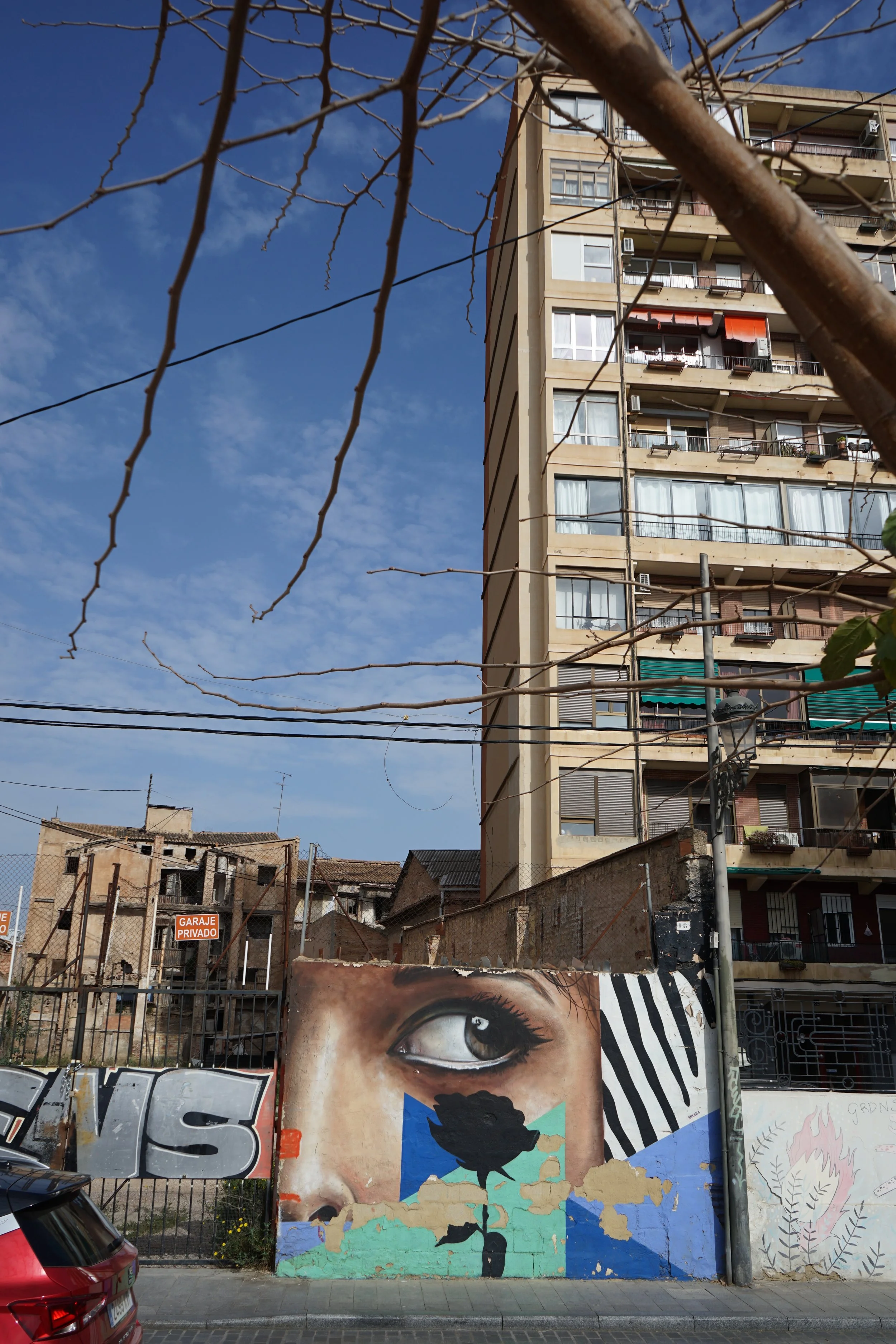 Wandmalerei eines menschlichen Auges mit einem schwarzen Vogel, der auf einer Blume sitzt.
