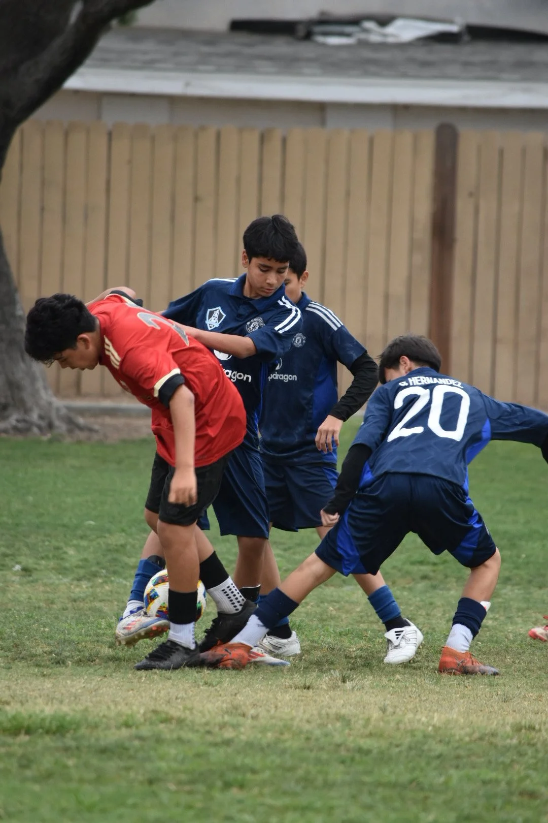 IMG_1029.JPG