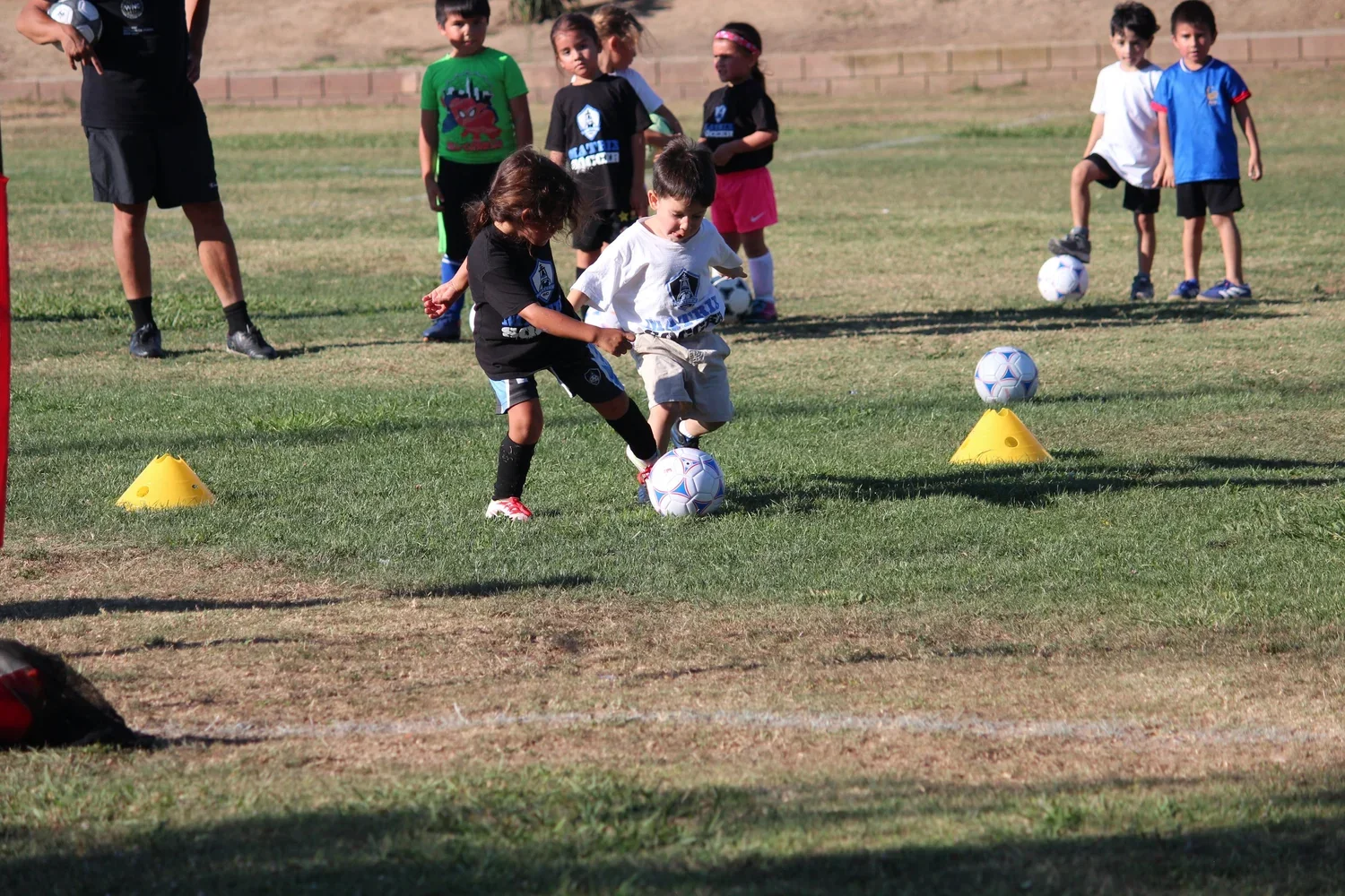 IMG_8860.JPG.webp