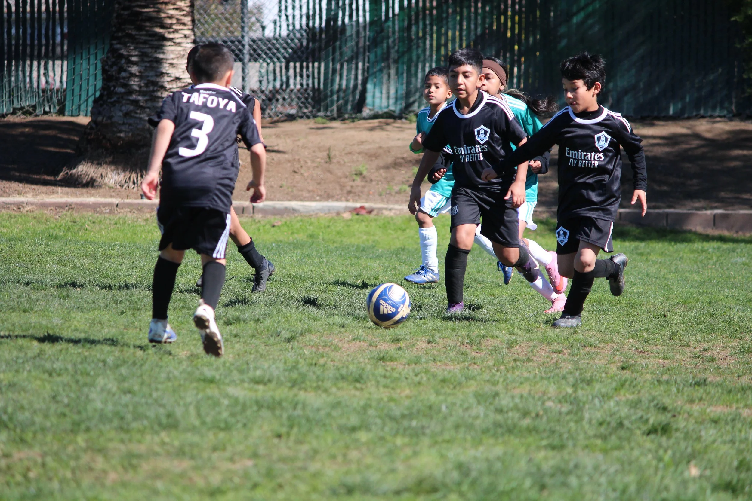 IMG_1732.jpg