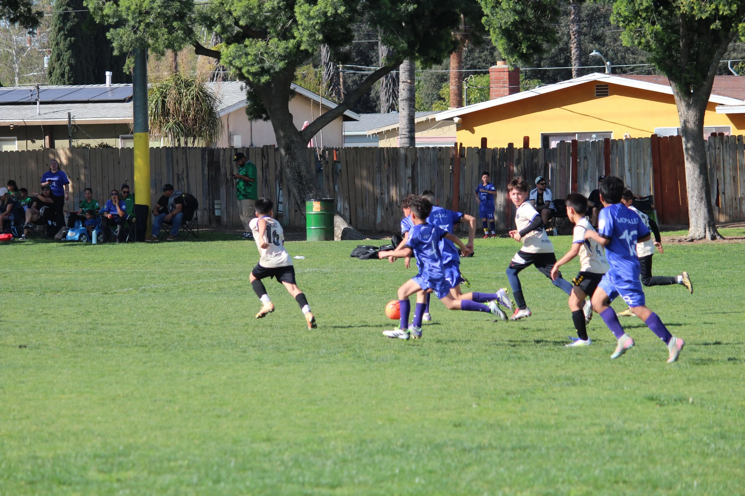 IMG_1873.JPG