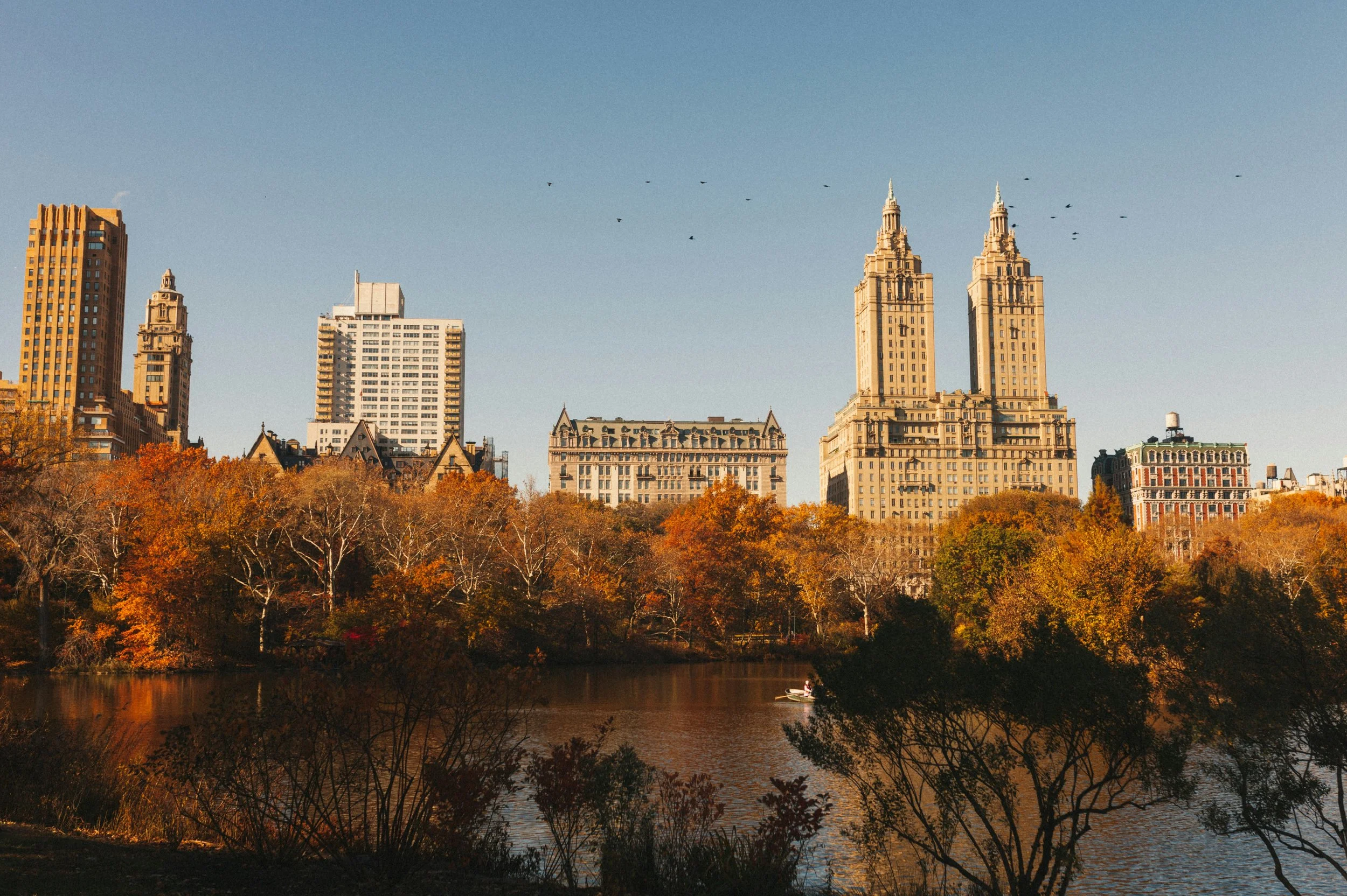 City skyline with tall buildings, trees with autumn foliage, and a body of water in the foreground.