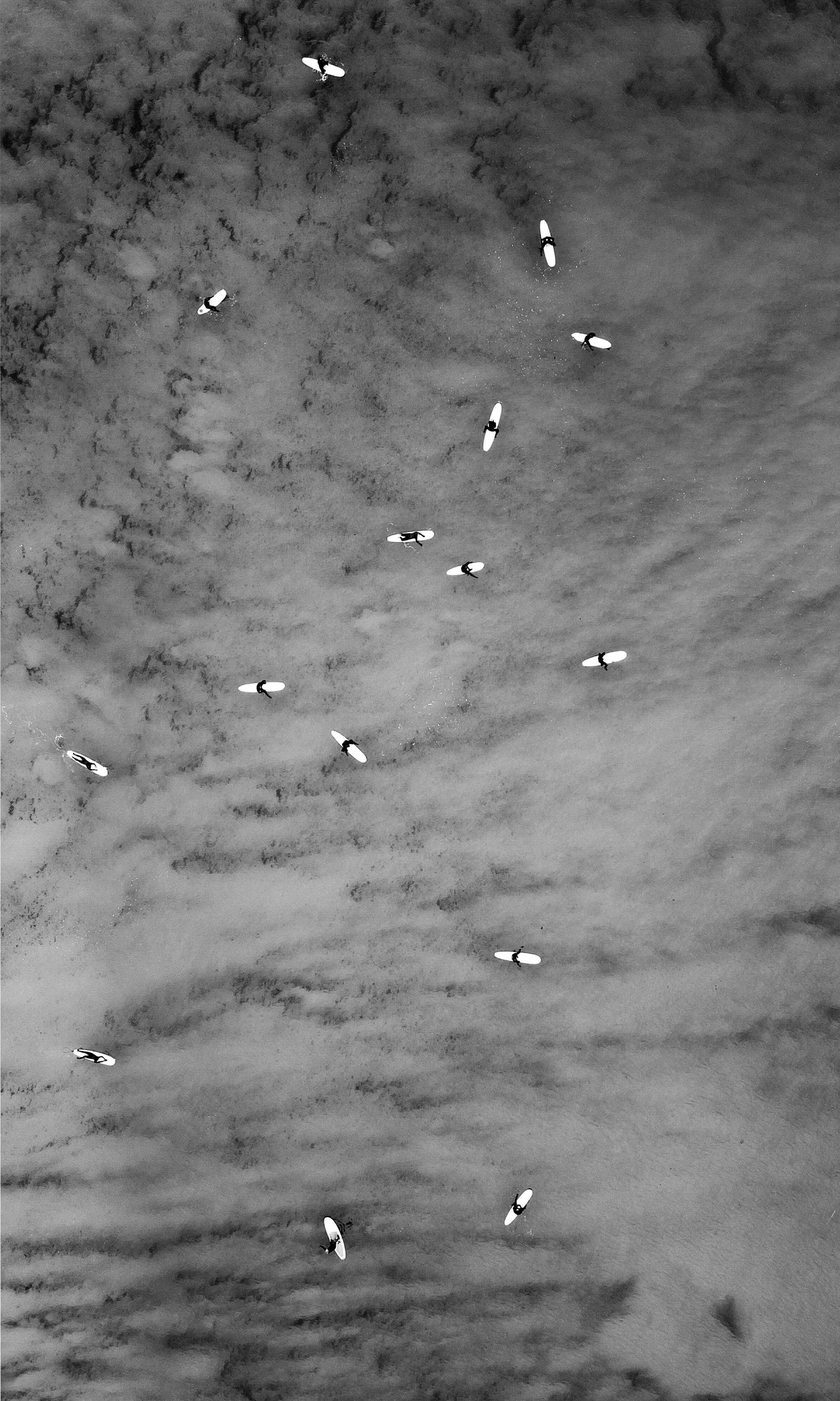 Black and white aerial view of surfers in the ocean, scattered across the water with visible surfboards.