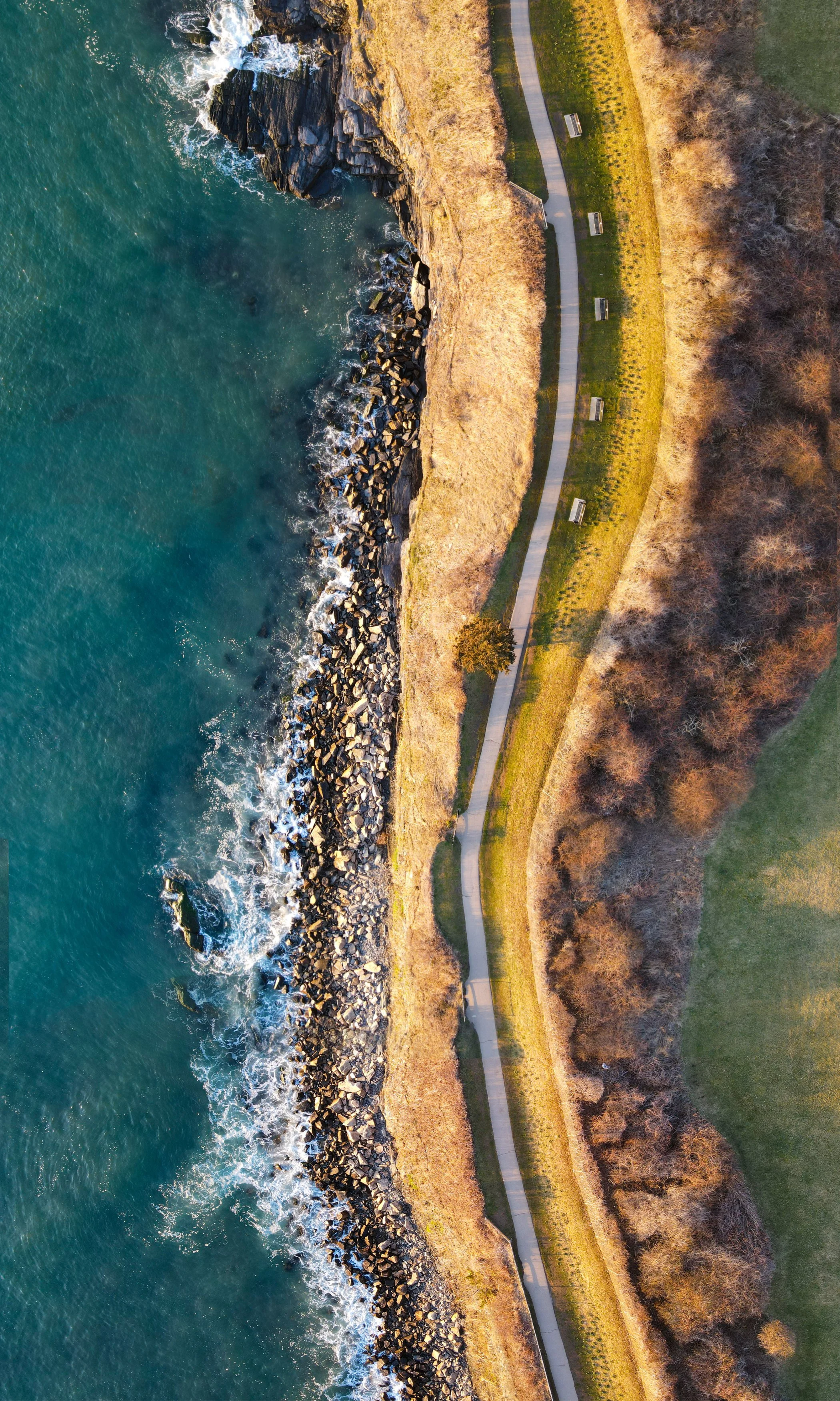 An aerial view of a coastline with a rocky shore, walking path, benches, and trees on a sunny day.