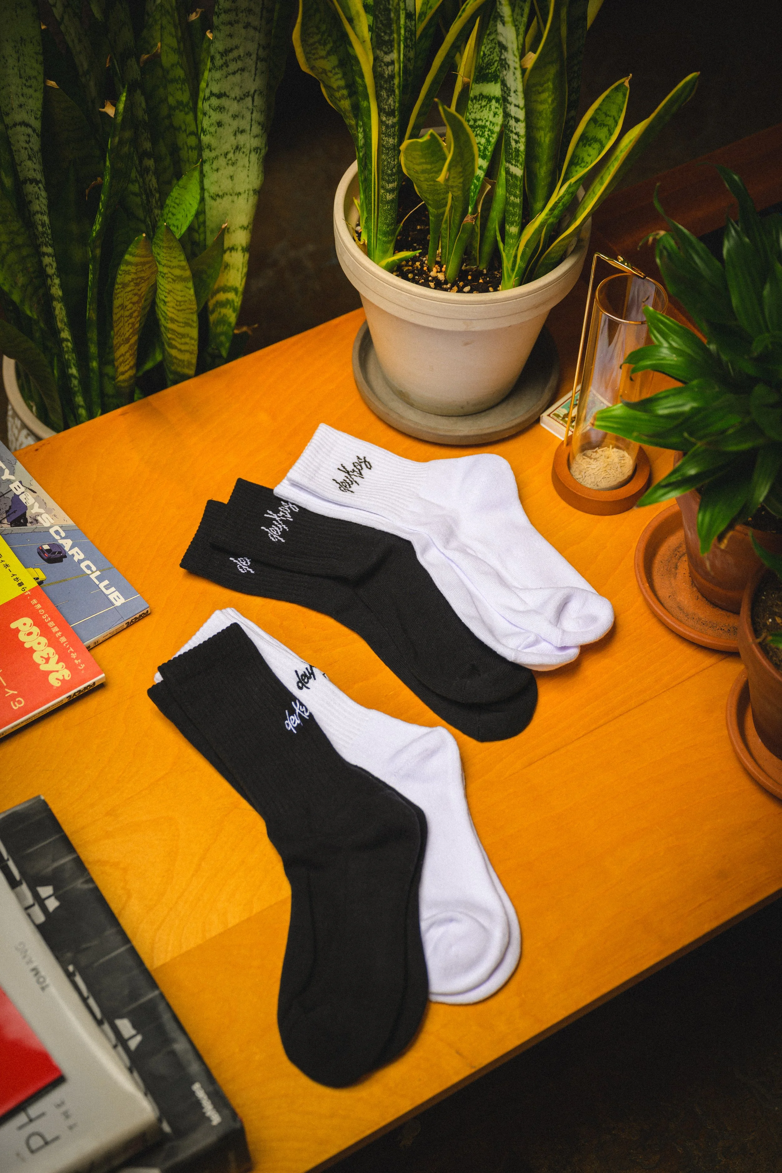 01.11.26 deuXros0466.jpg