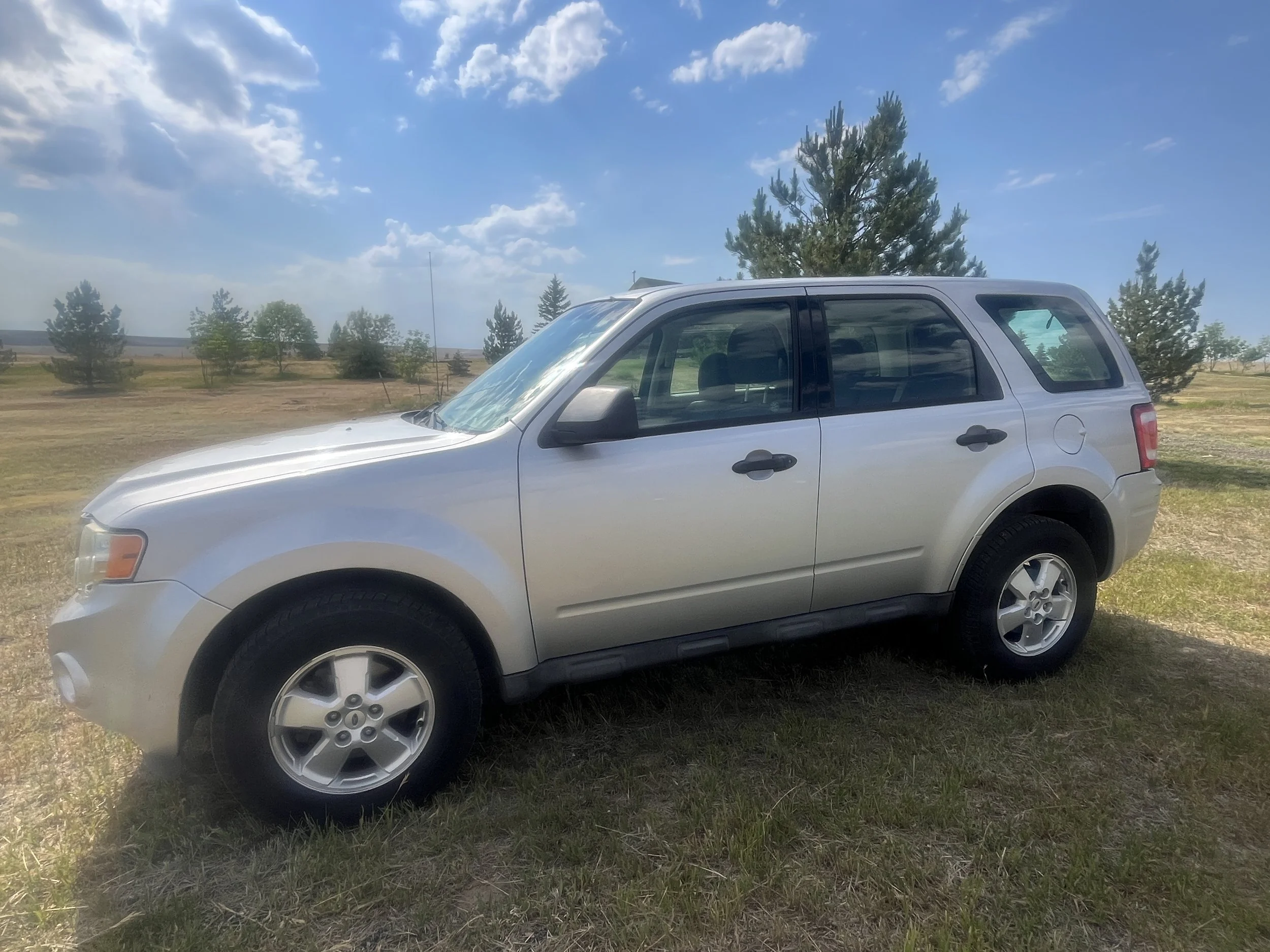 2011 Ford Escape 2.JPG