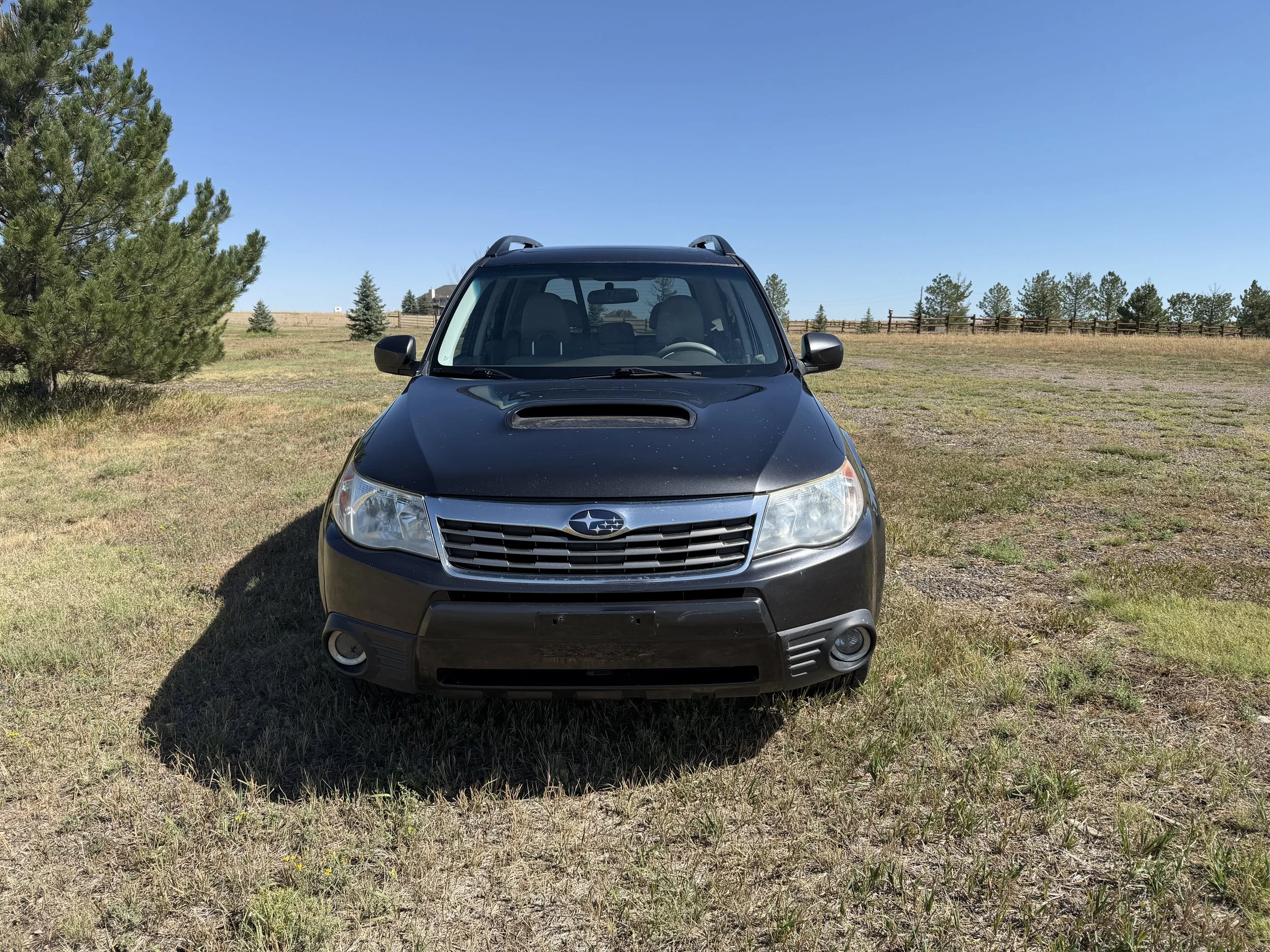 2010 Subaru Forester 11 (1).JPG