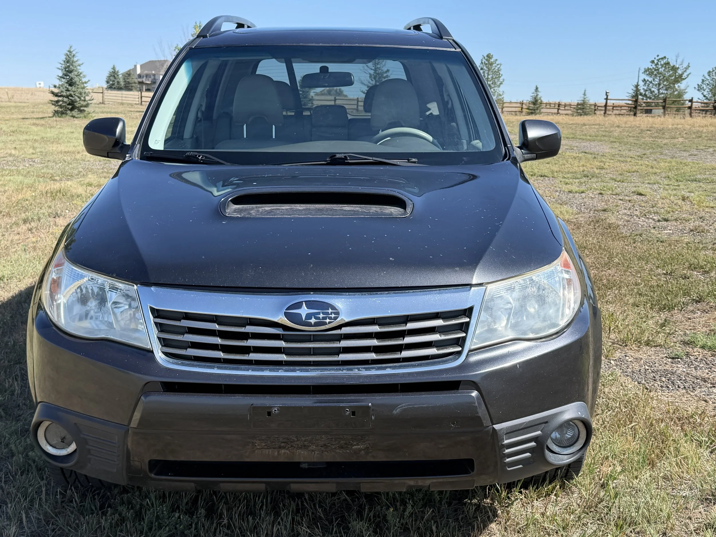 2010 Subaru Forester 5 (1).JPG