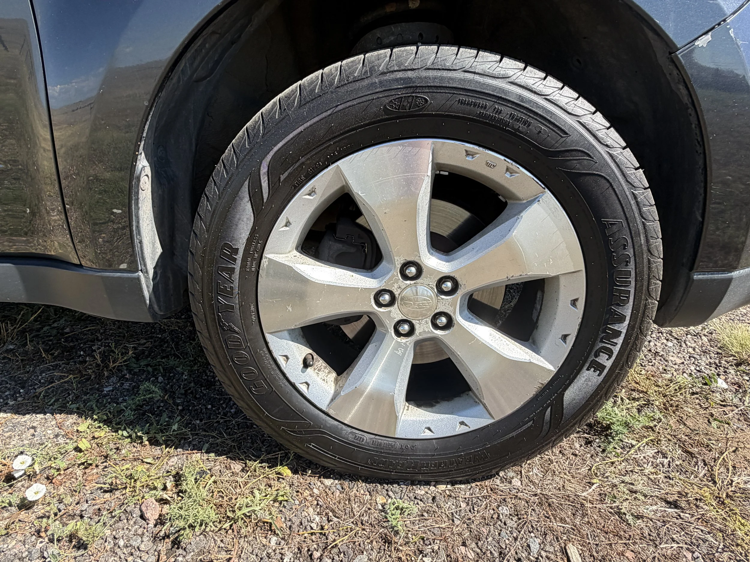 2010 Subaru Forester 14 (1).JPG