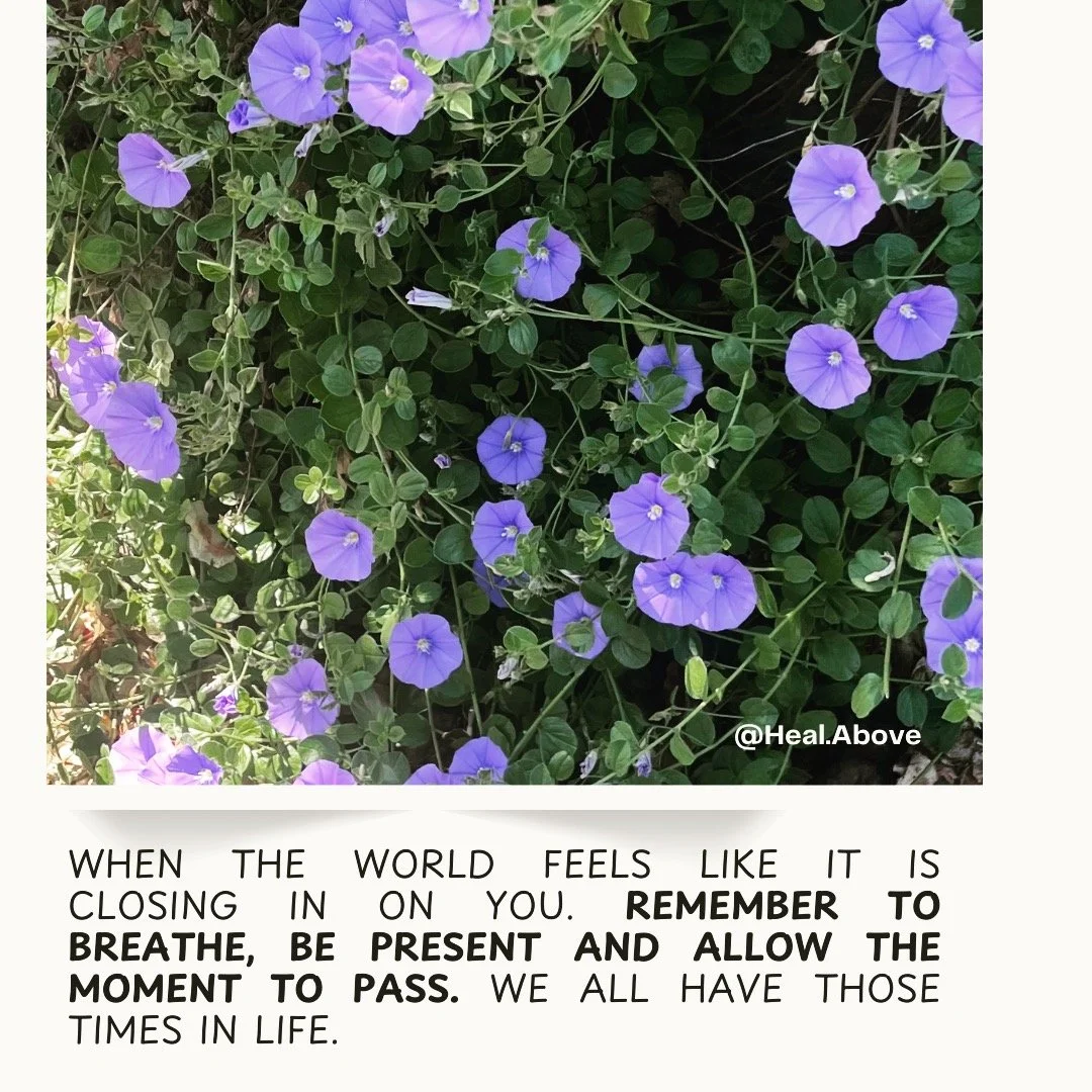 A nice reminder for a new day, #ʜᴇᴀʟɪɴɢᴊᴏᴜʀɴᴇʏ #energyhealer #opentonewpossibilities #shinethelight #baysidemelbourne #bepresent #goals www.healabove.com