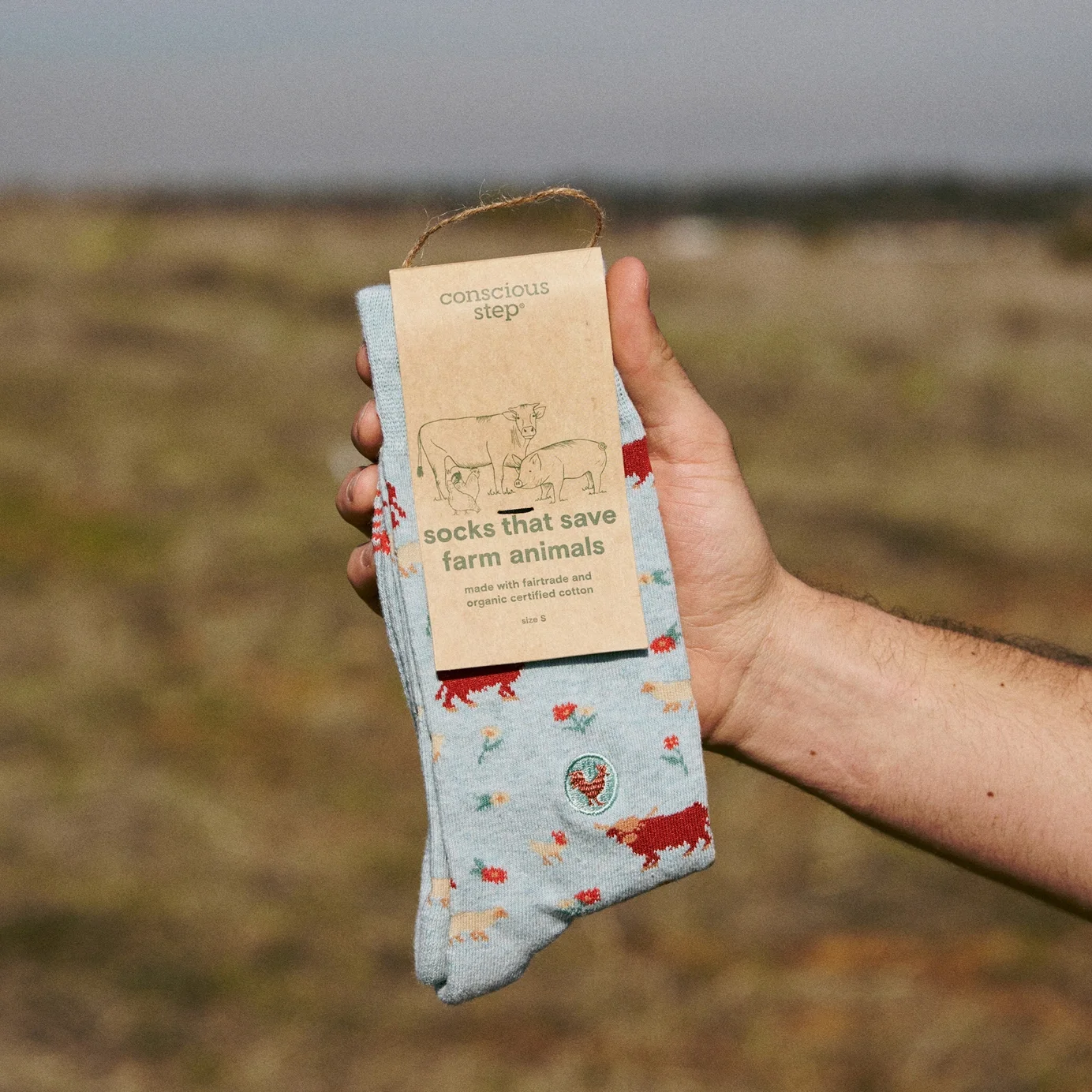 socks that save fa.webp
