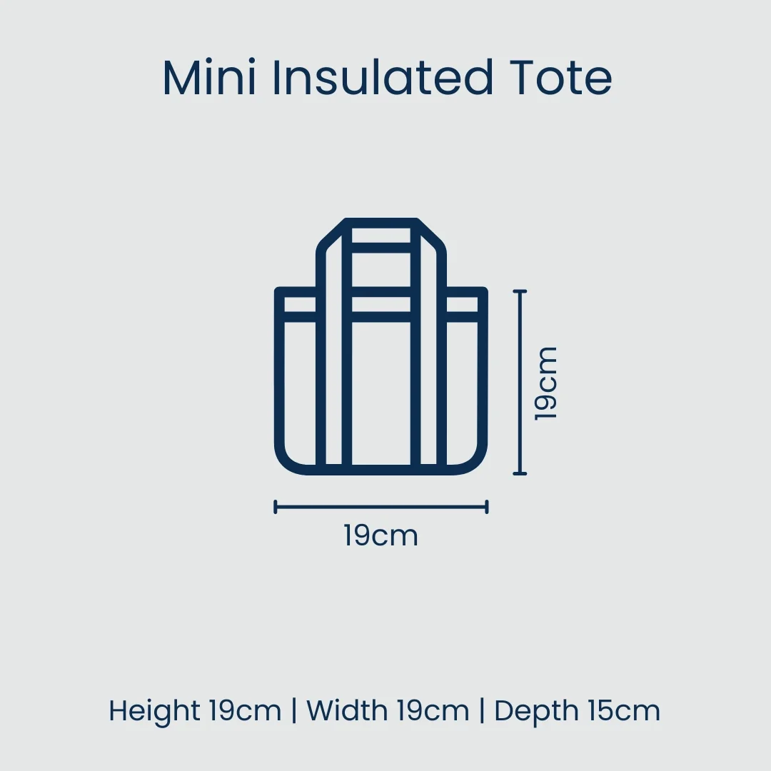 confetti mini insulated tote by Project Ten size.webp