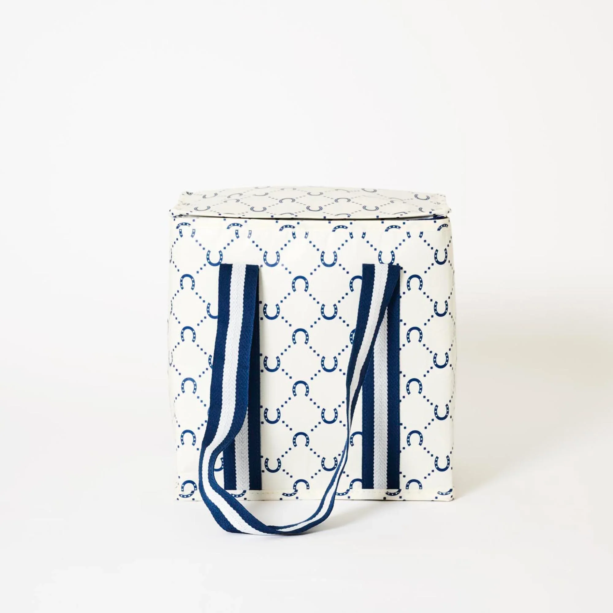 Project Ten Insulated Tote Bag | Reusable Cooler Bag for Shopping & Picnics