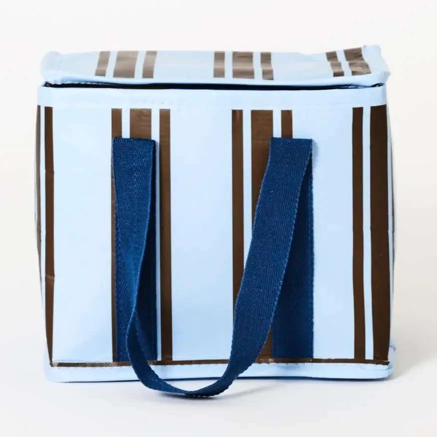 brown and blue stripe mini insulated tote by Project Ten.webp