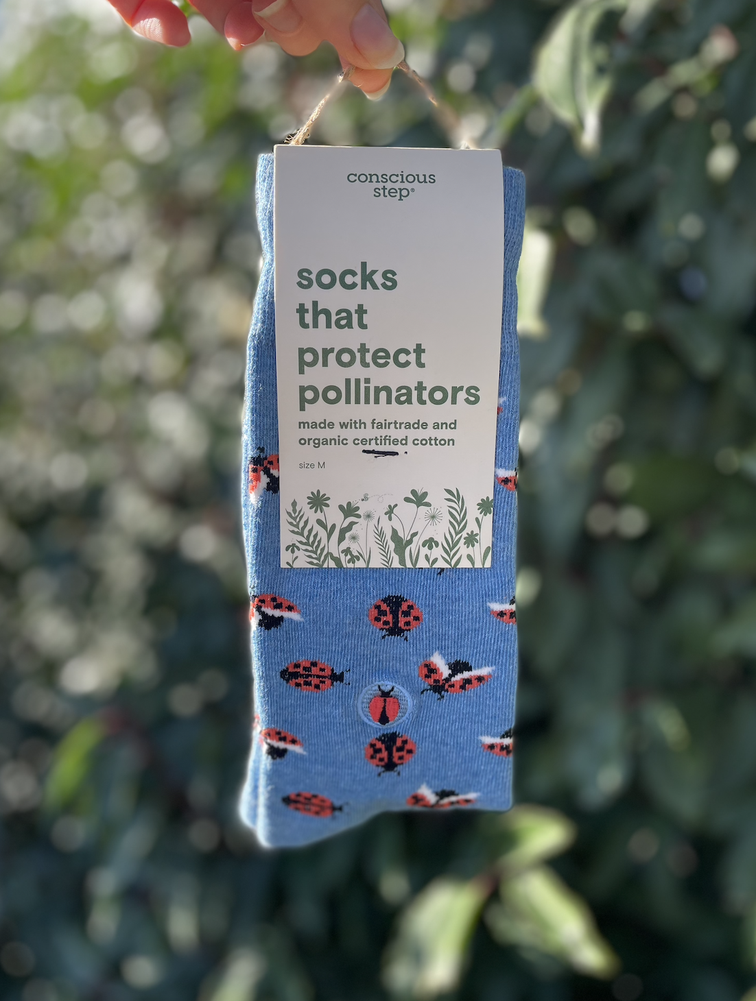 sock port.png