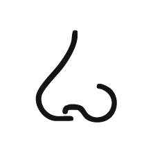 Simple line drawing of a nose.