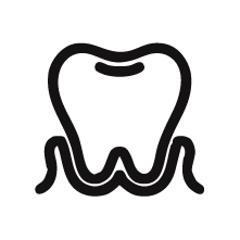 Outline of a tooth with roots underneath.