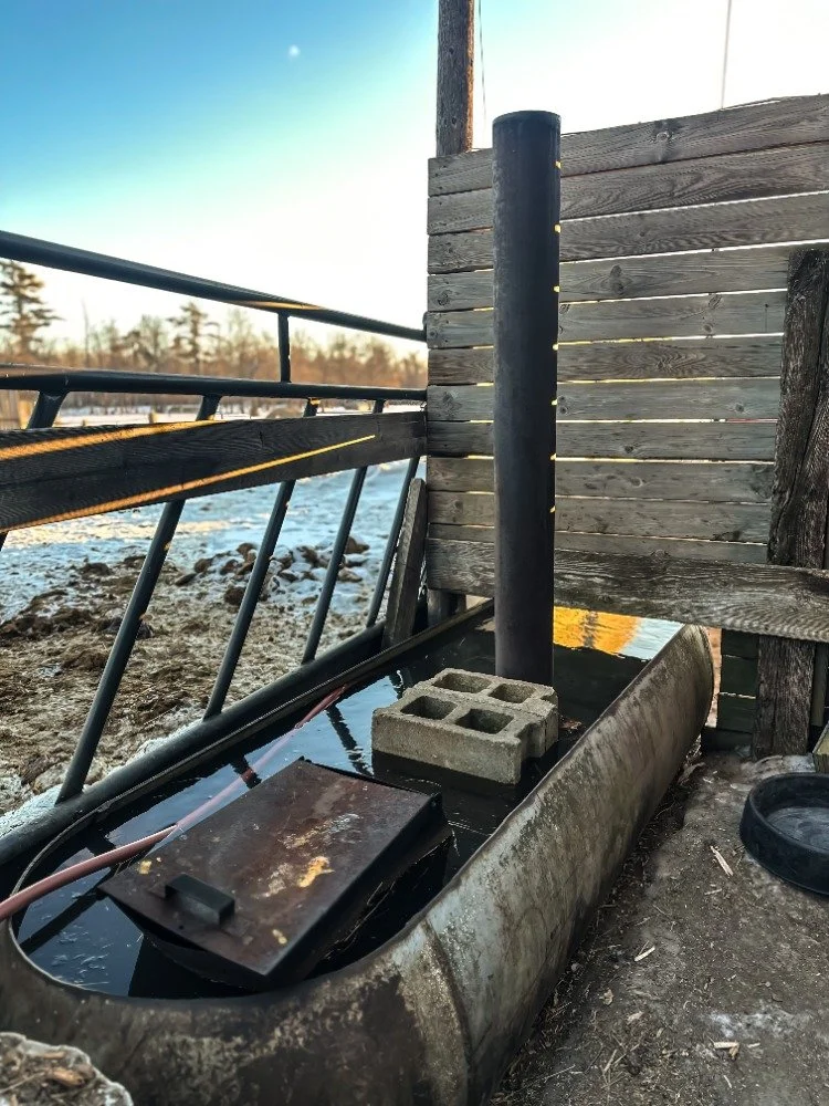 a watched tank never fills 