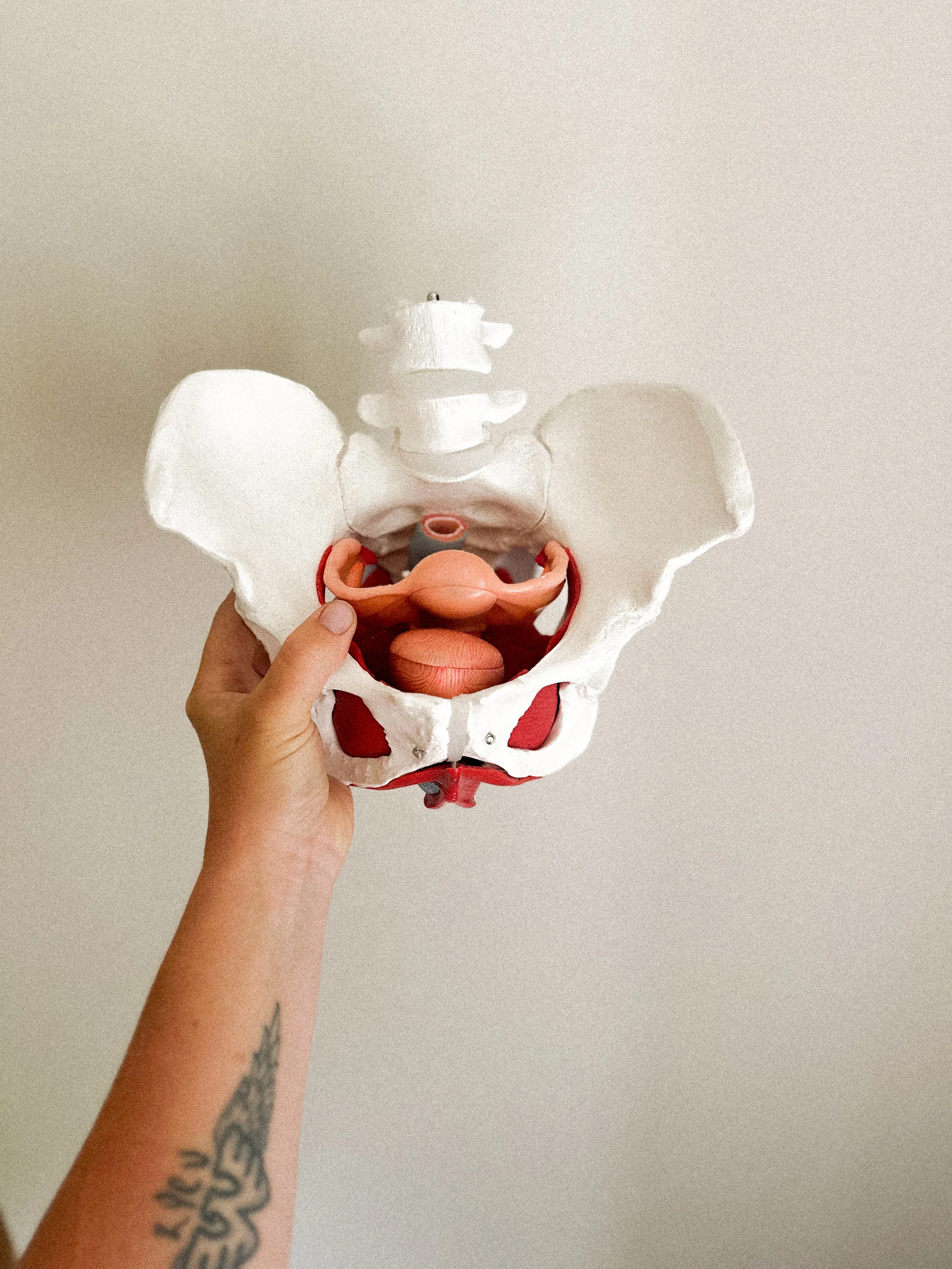 the roots of modern gynecology