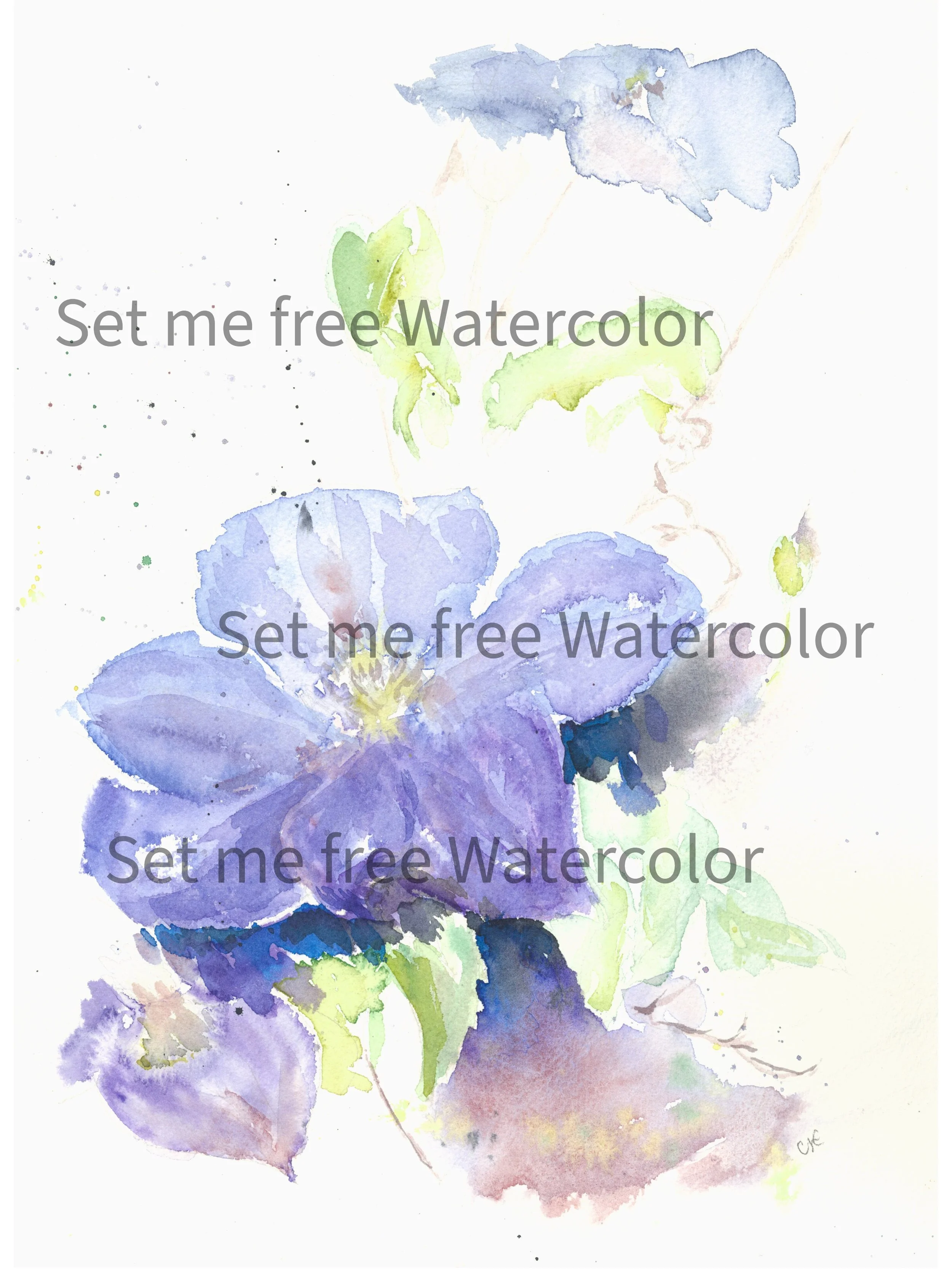 Clematis.JPEG