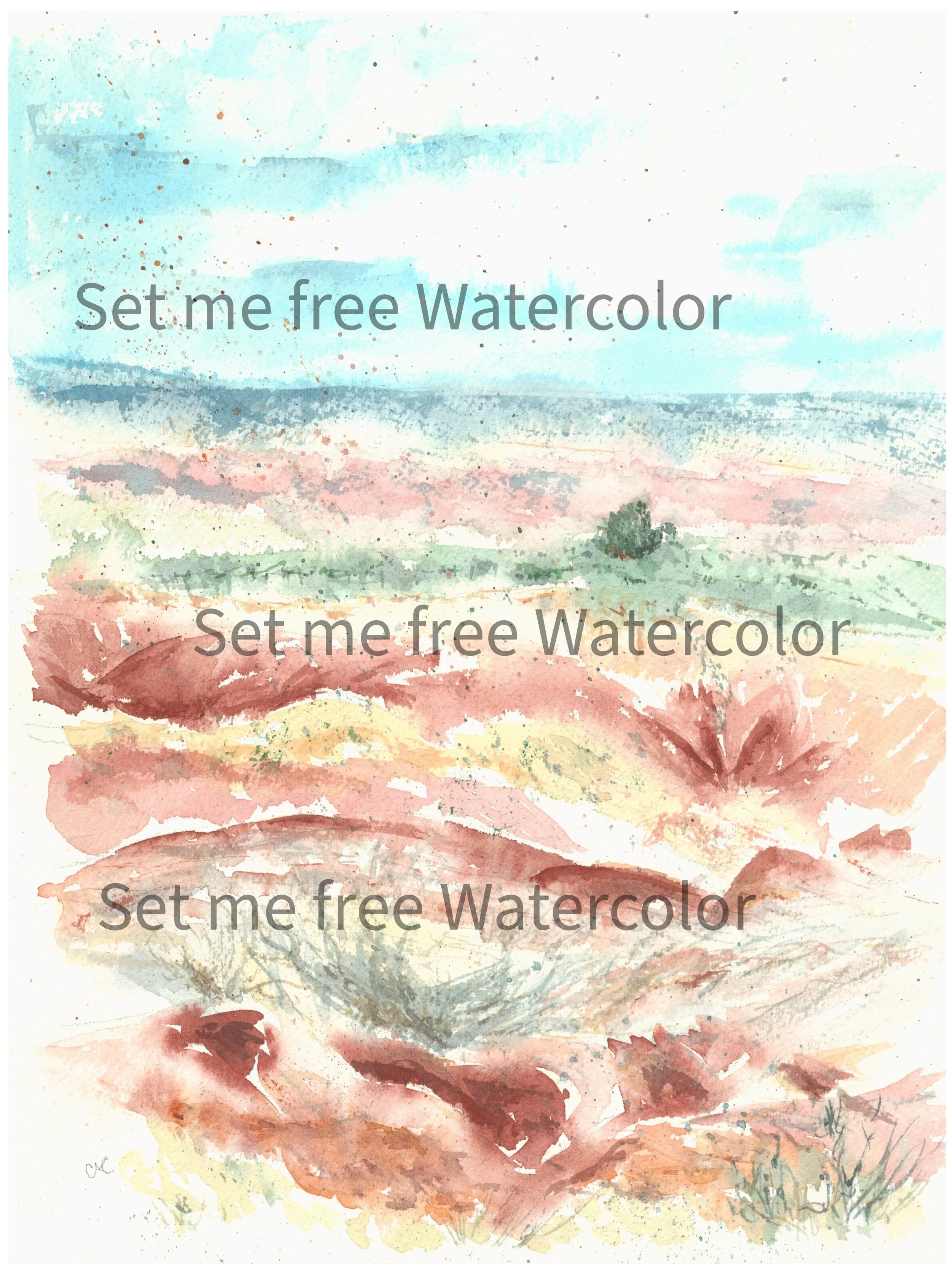 Painted Desert