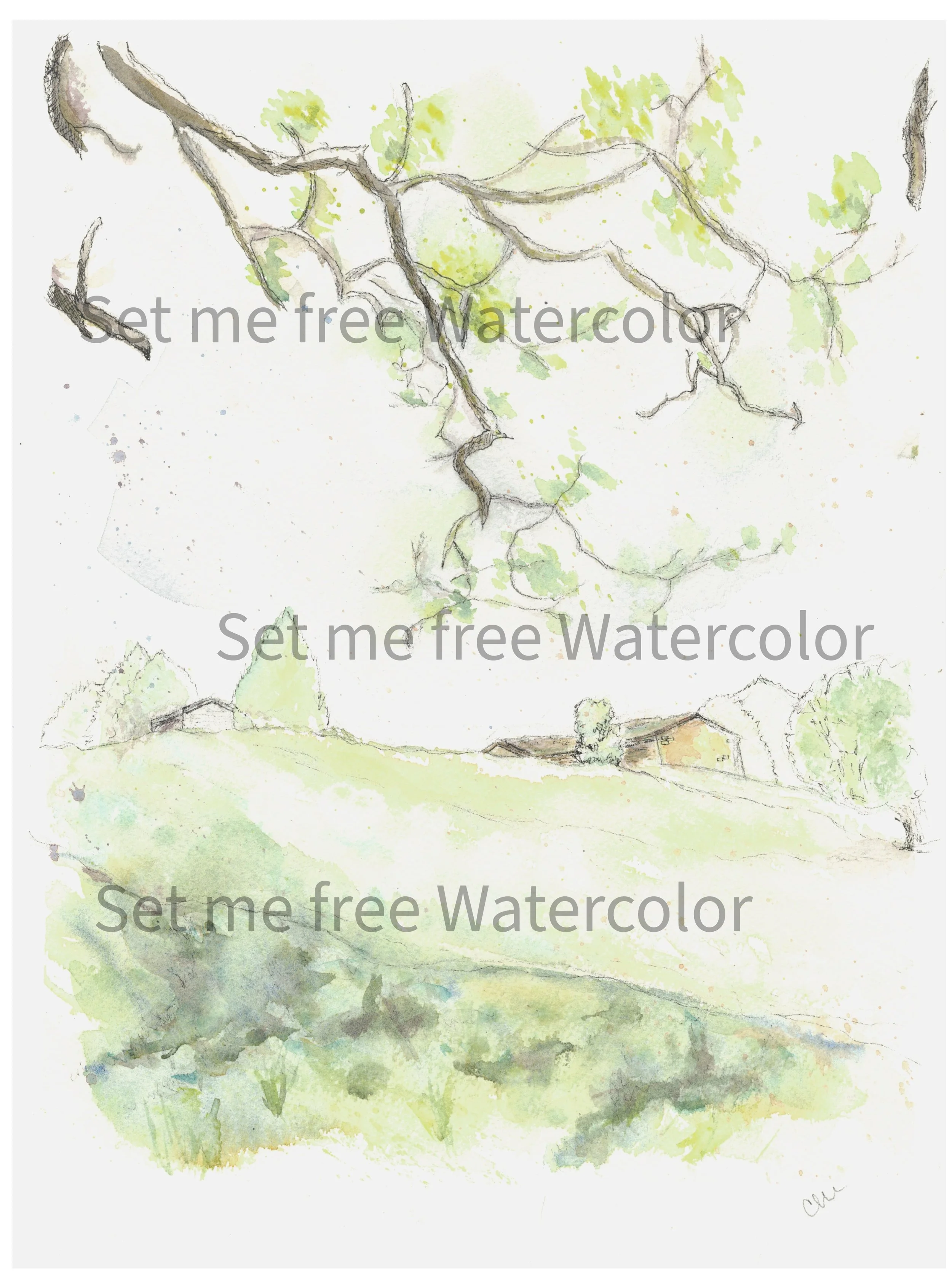 Under the black locust.JPEG