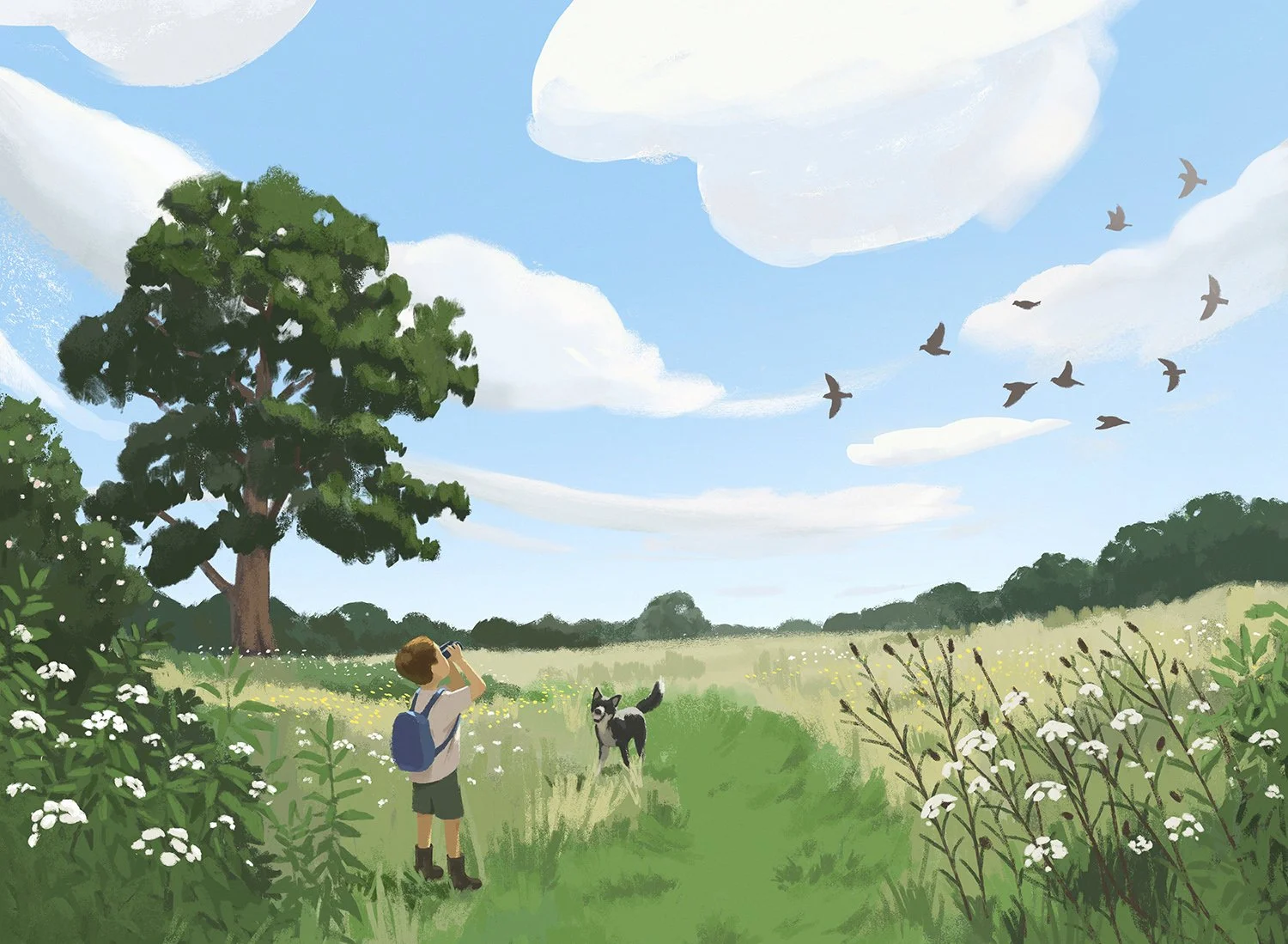 Summer- Birdwatching