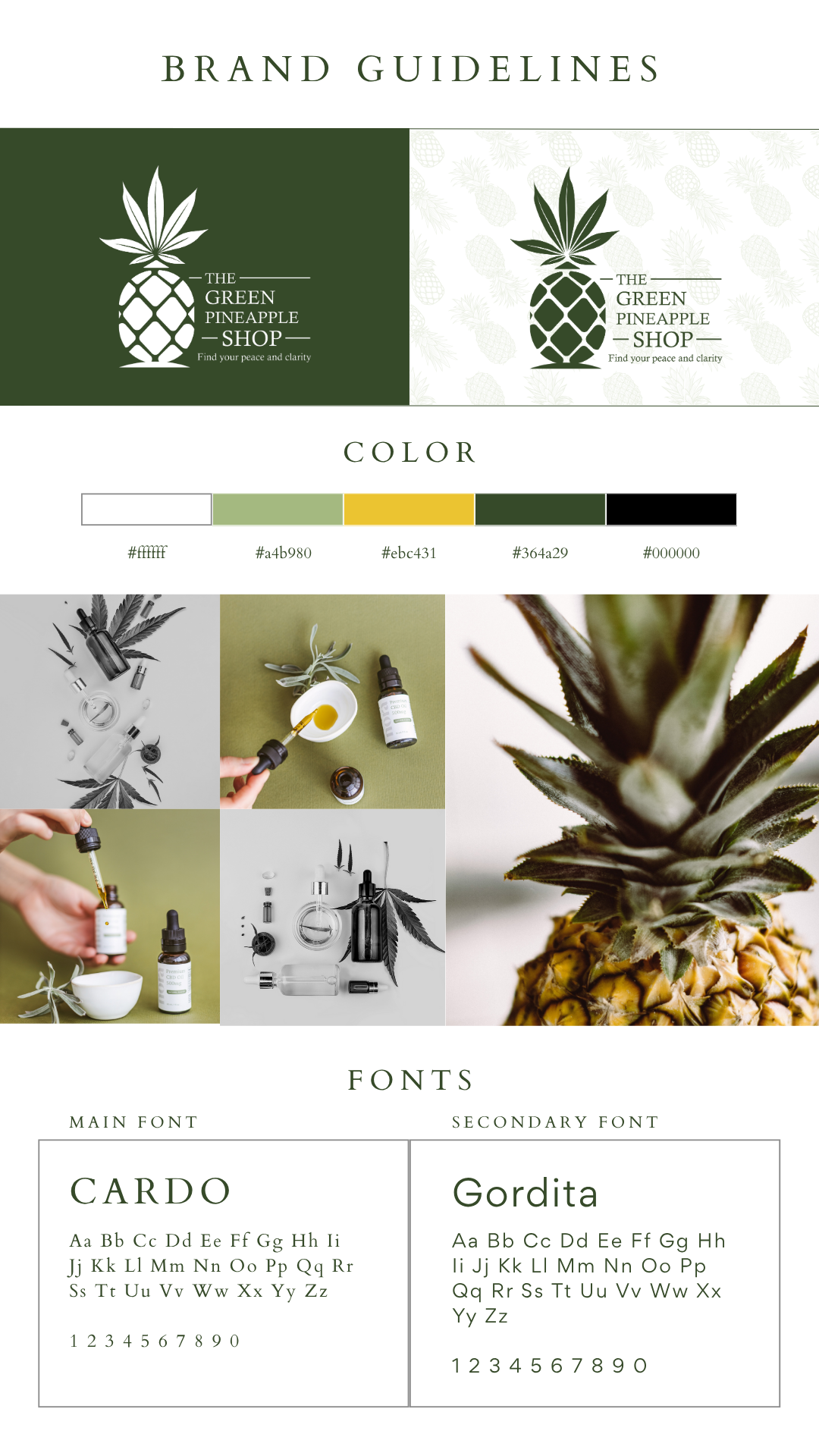 BRAND GUIDELINES.png