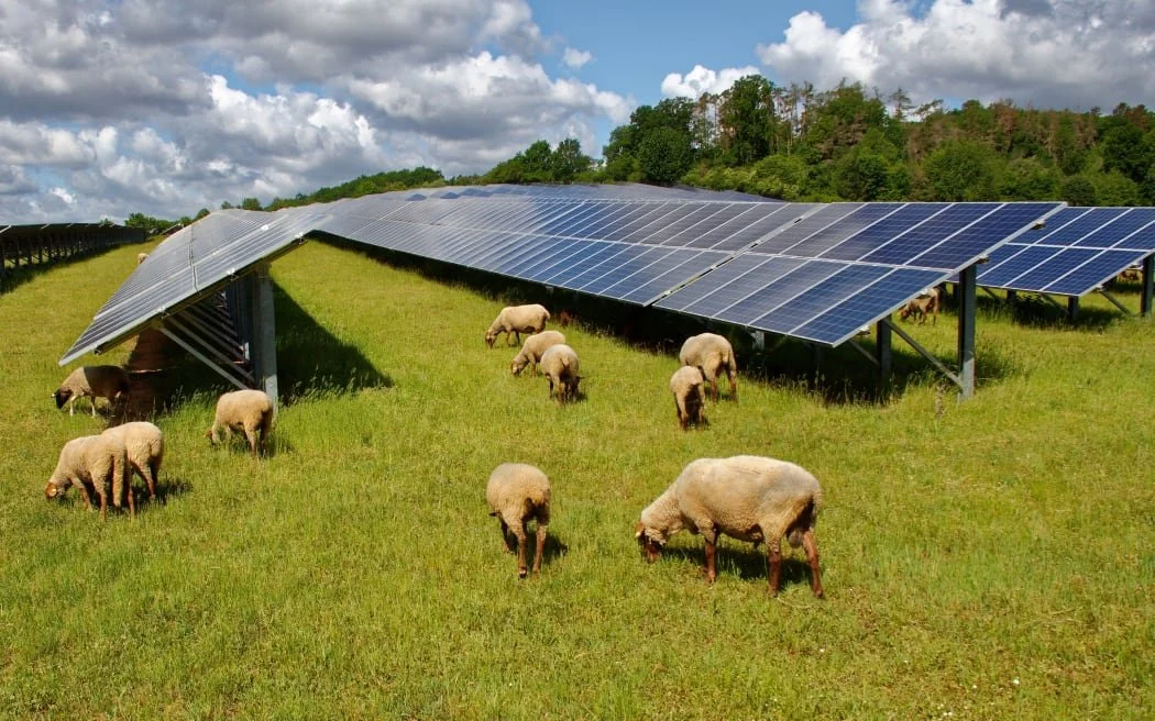 The 5 Solar Energy Myths Costing New Zealand Homeowners Thousands