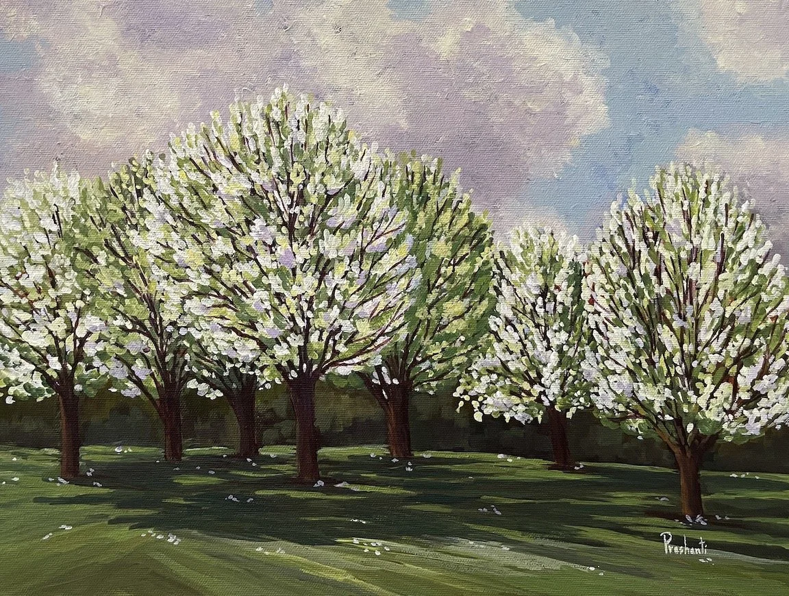 mosesprashanti_springatmemorialpark - Prashanti Moses.jpg