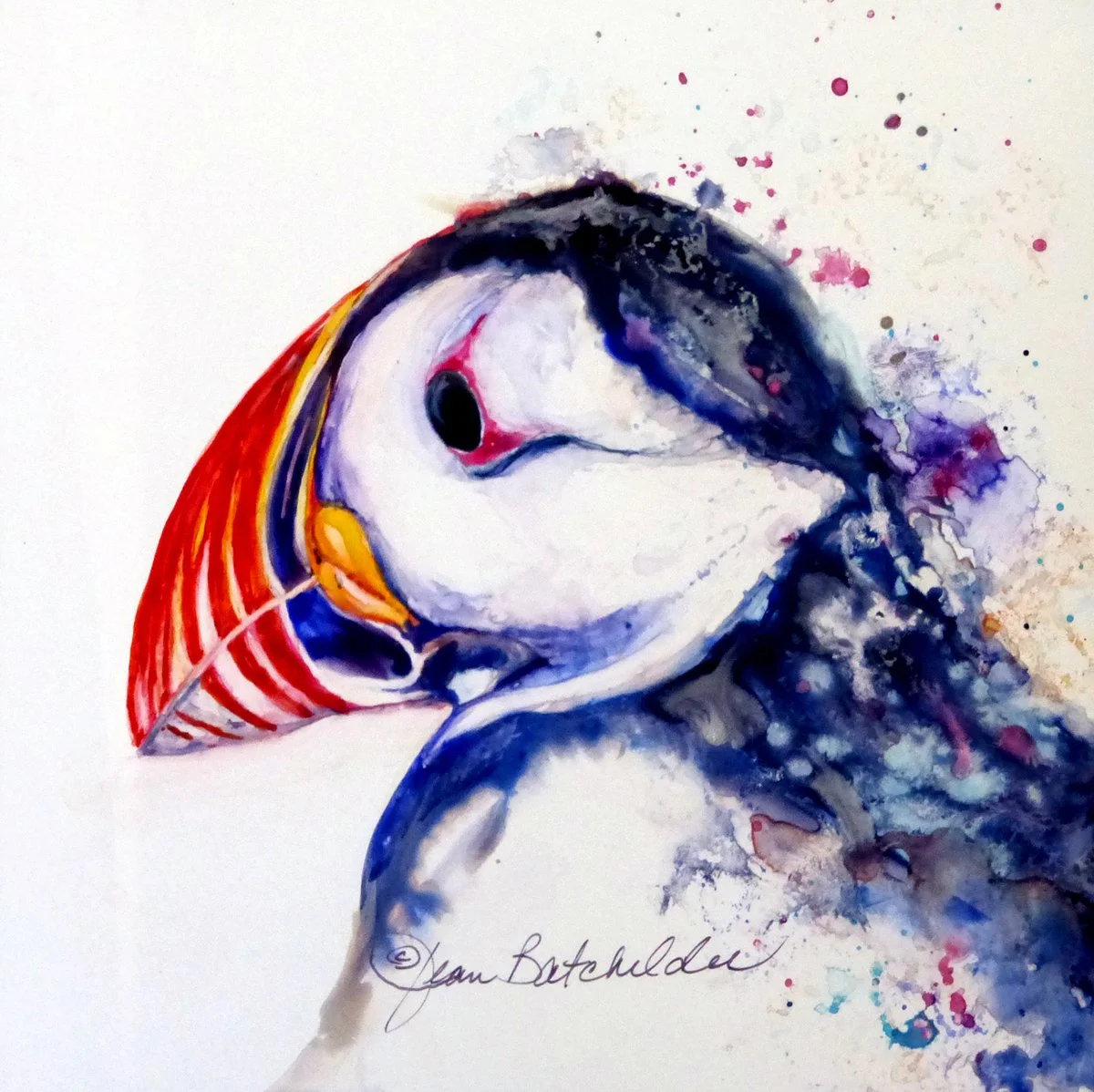 Jean Batchelder_Atlantic Puffin.jpg