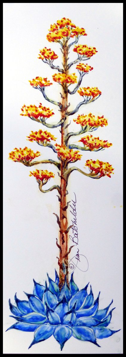 Batchelder Jean_Once in a Lifetime - Jean Batchelder.jpg