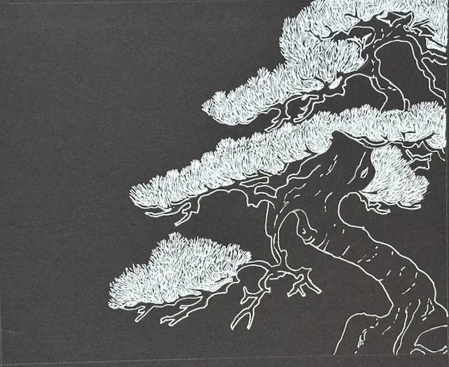 RosemaryMorrison-B&W bonsai - Rosemary Morrison.jpg