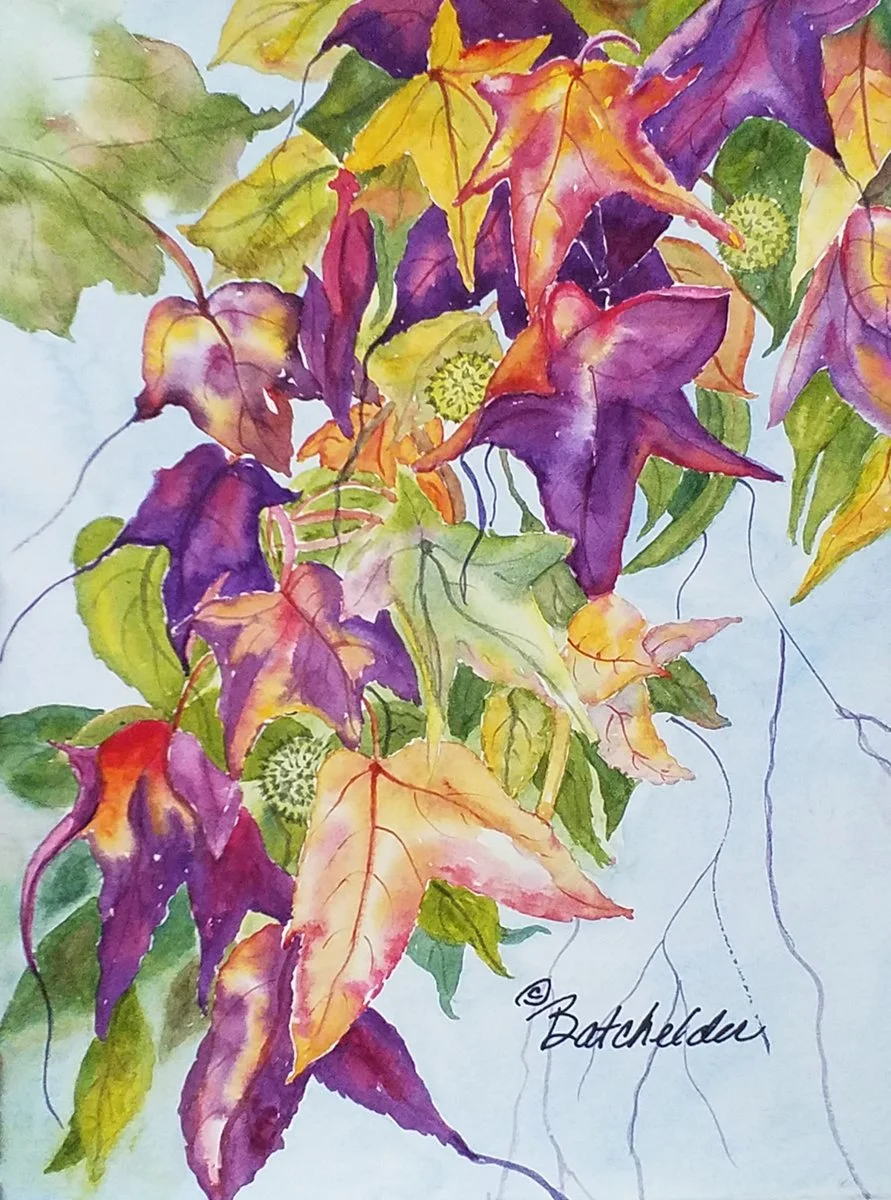 BatchelderJean_Liquidambar - Jean Batchelder.jpg