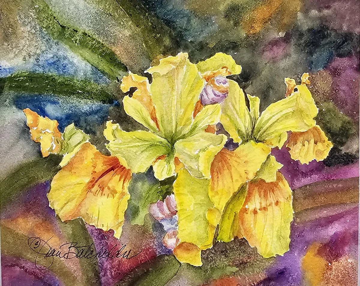 Batchelder Jean_Yellow Flag Iris - Jean Batchelder.jpg