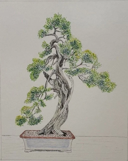 RoseamryMorrison_bonsai3 - Rosemary Morrison.jpg